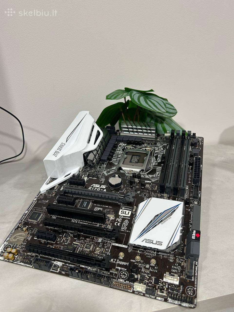 Motherboard Asus Z170-a