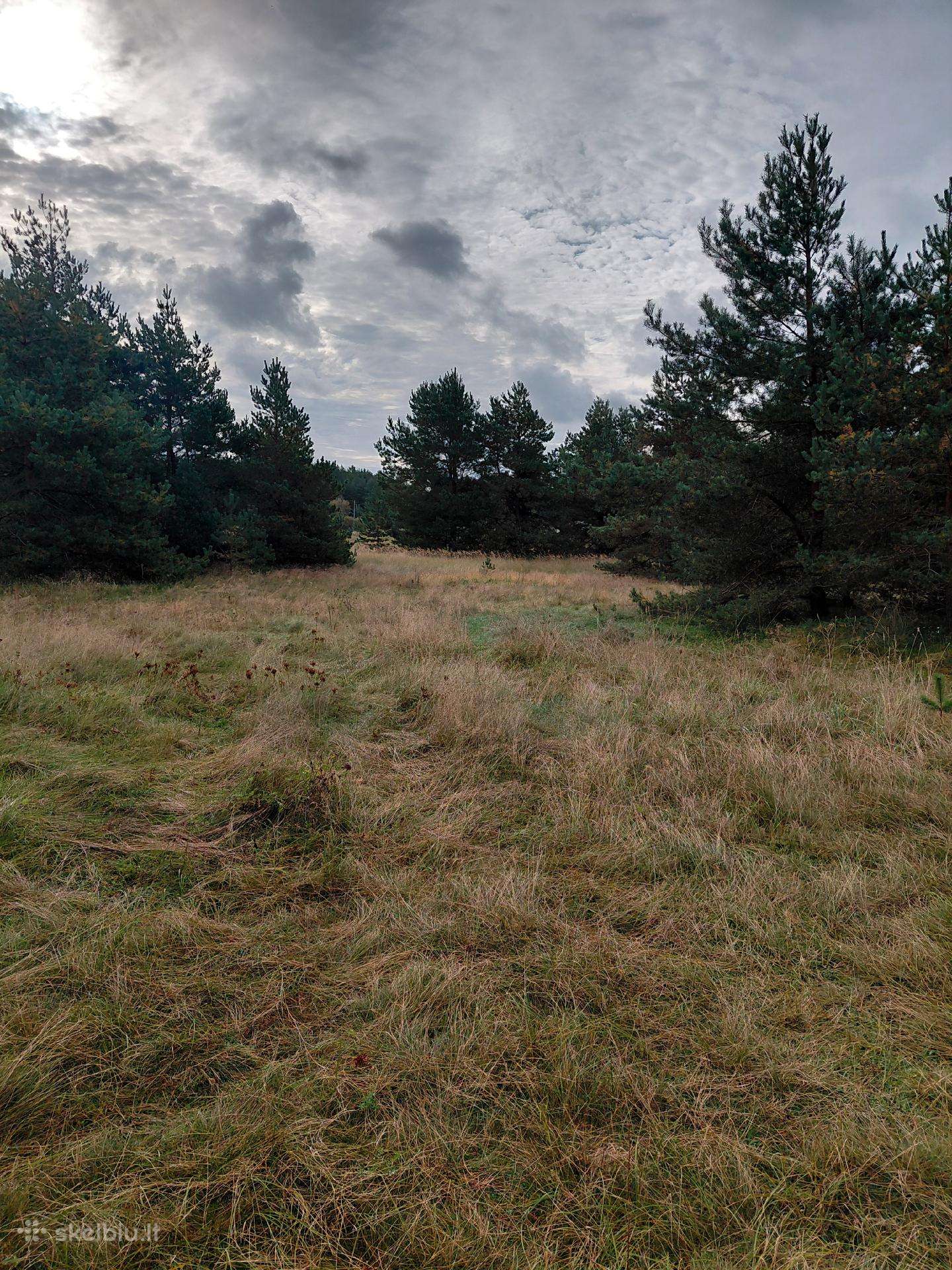 Parduodami sklypai Šventojoi Butingės gatvė.