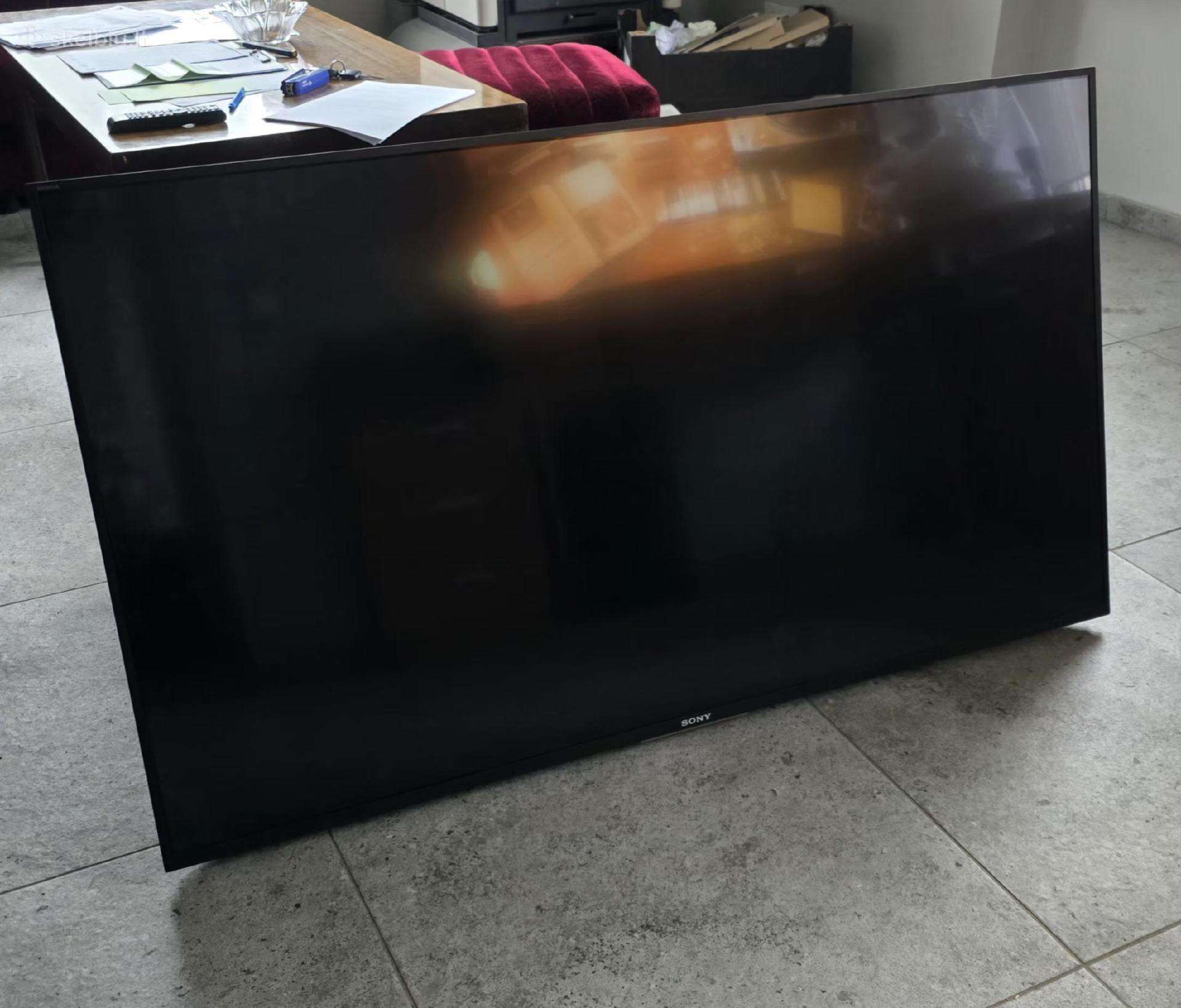 Du televizoriai "Sony" ir "Panasonic"