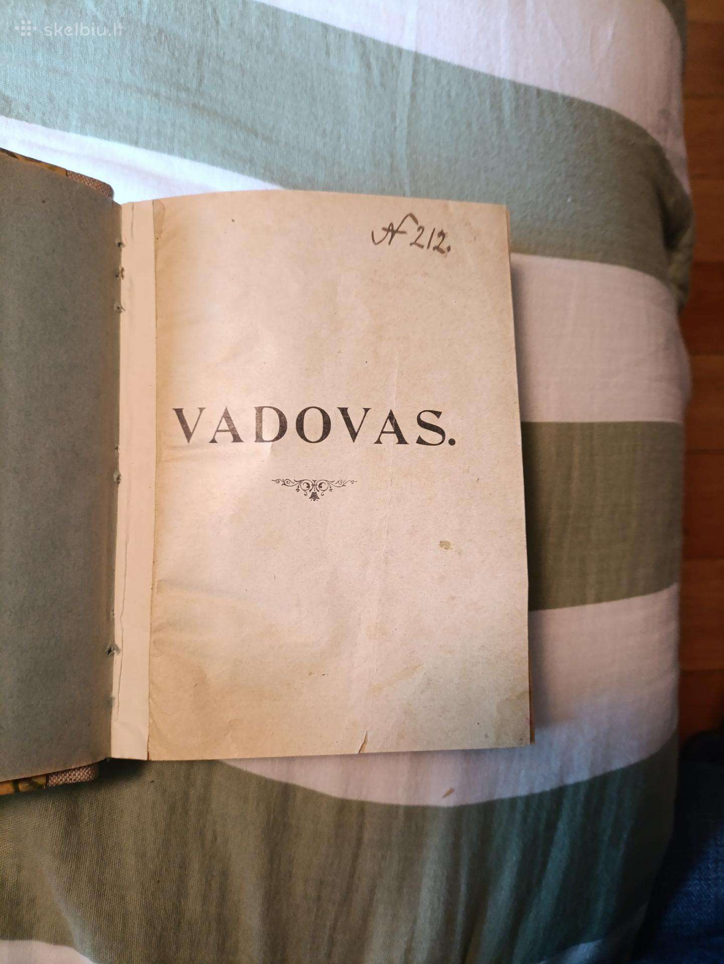 Dangiškos gydyklos vadovas