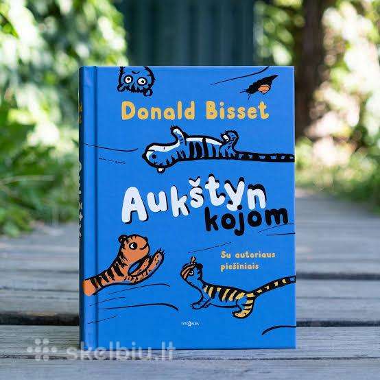 Nauja Knyga "Aukštyn Kojom"