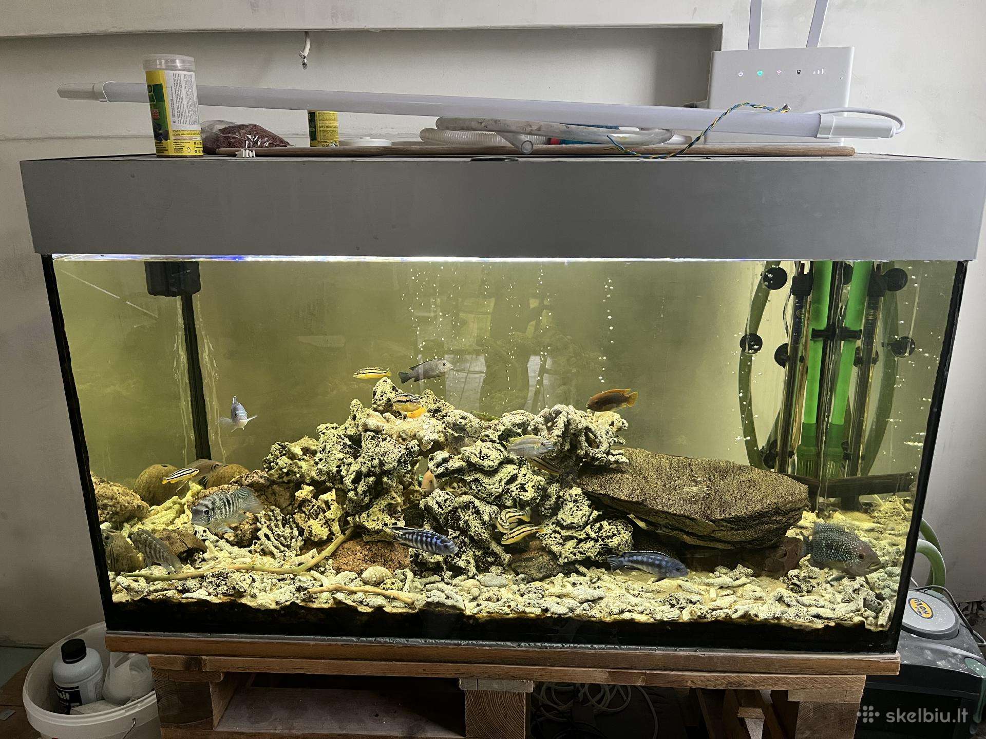 277l akvariumas