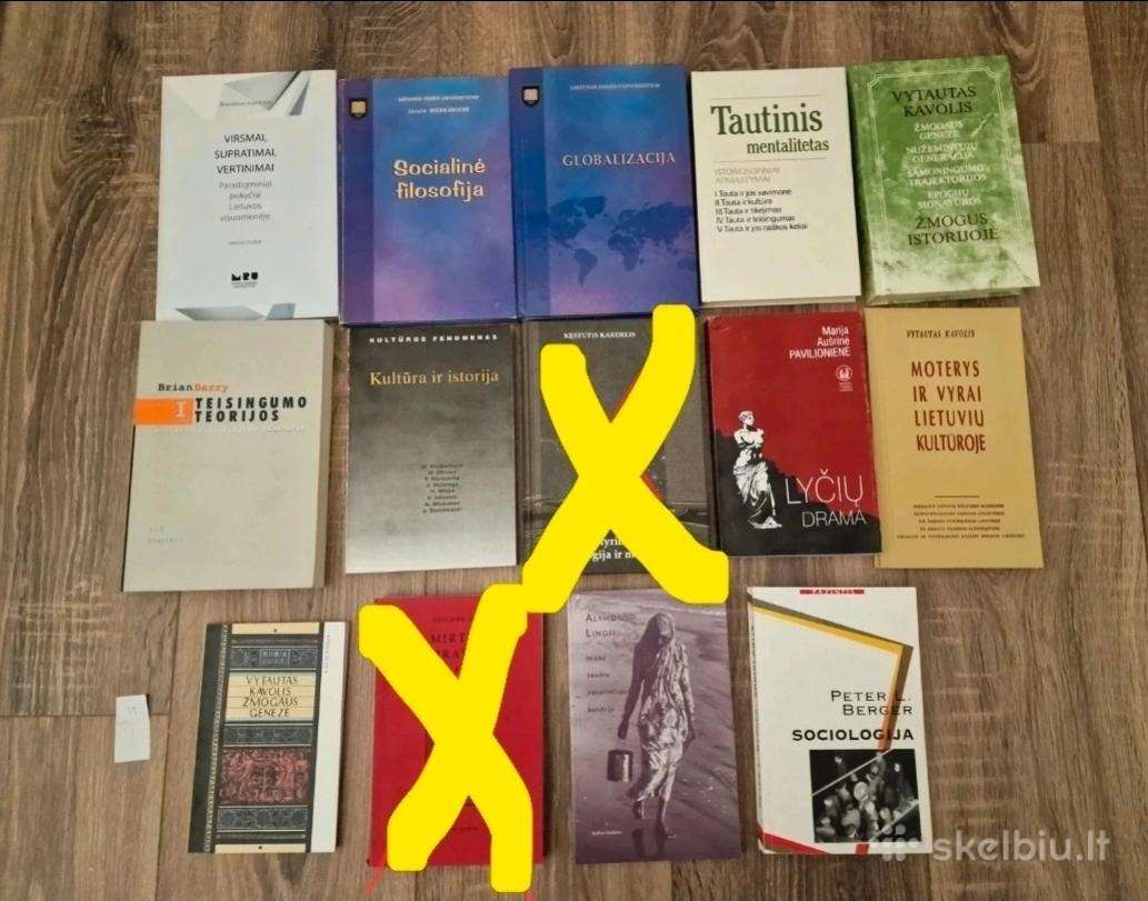 Didelis sociologijos, visuomenės mokslų