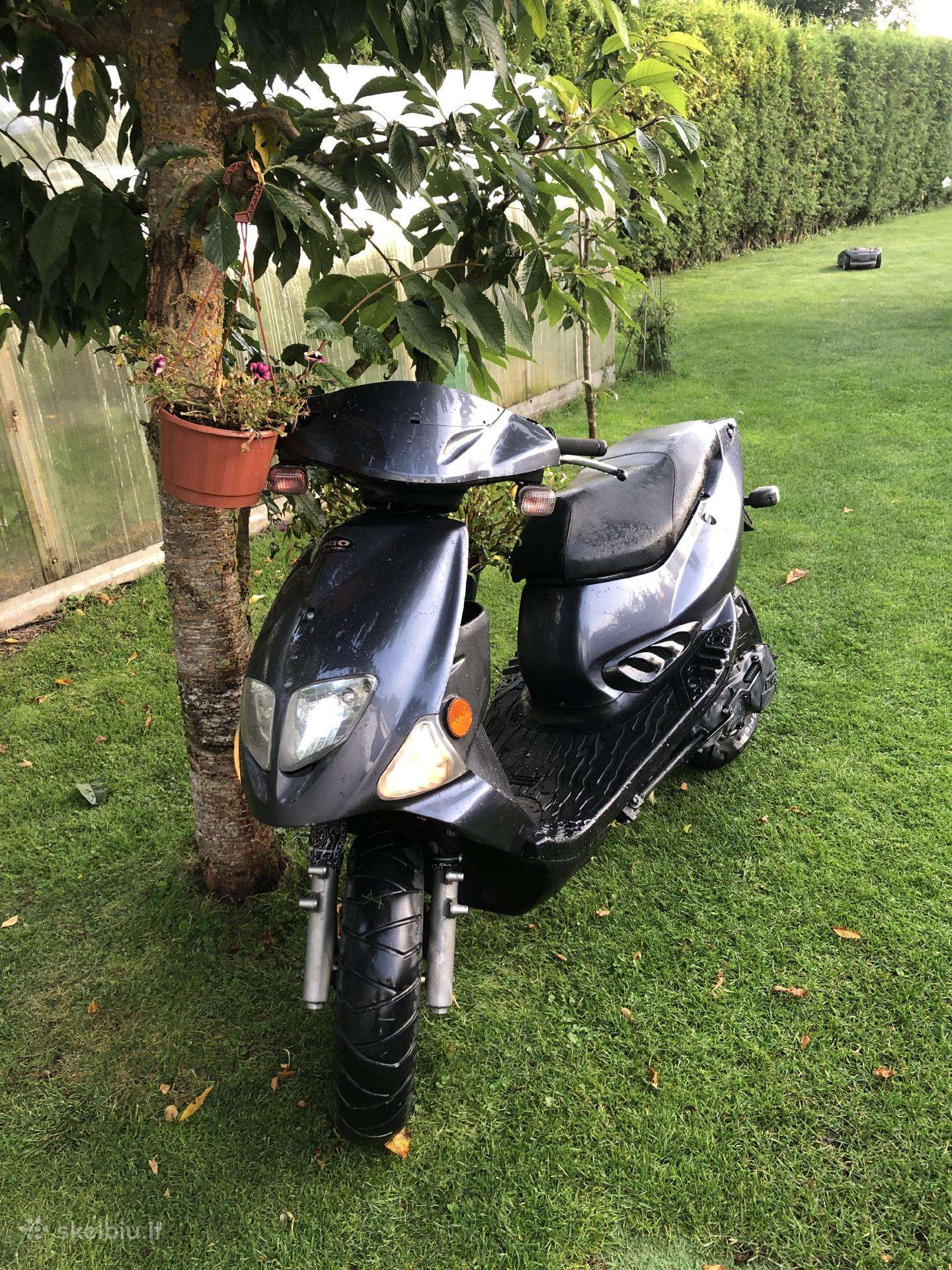 Pgo T-rex 50cc ac