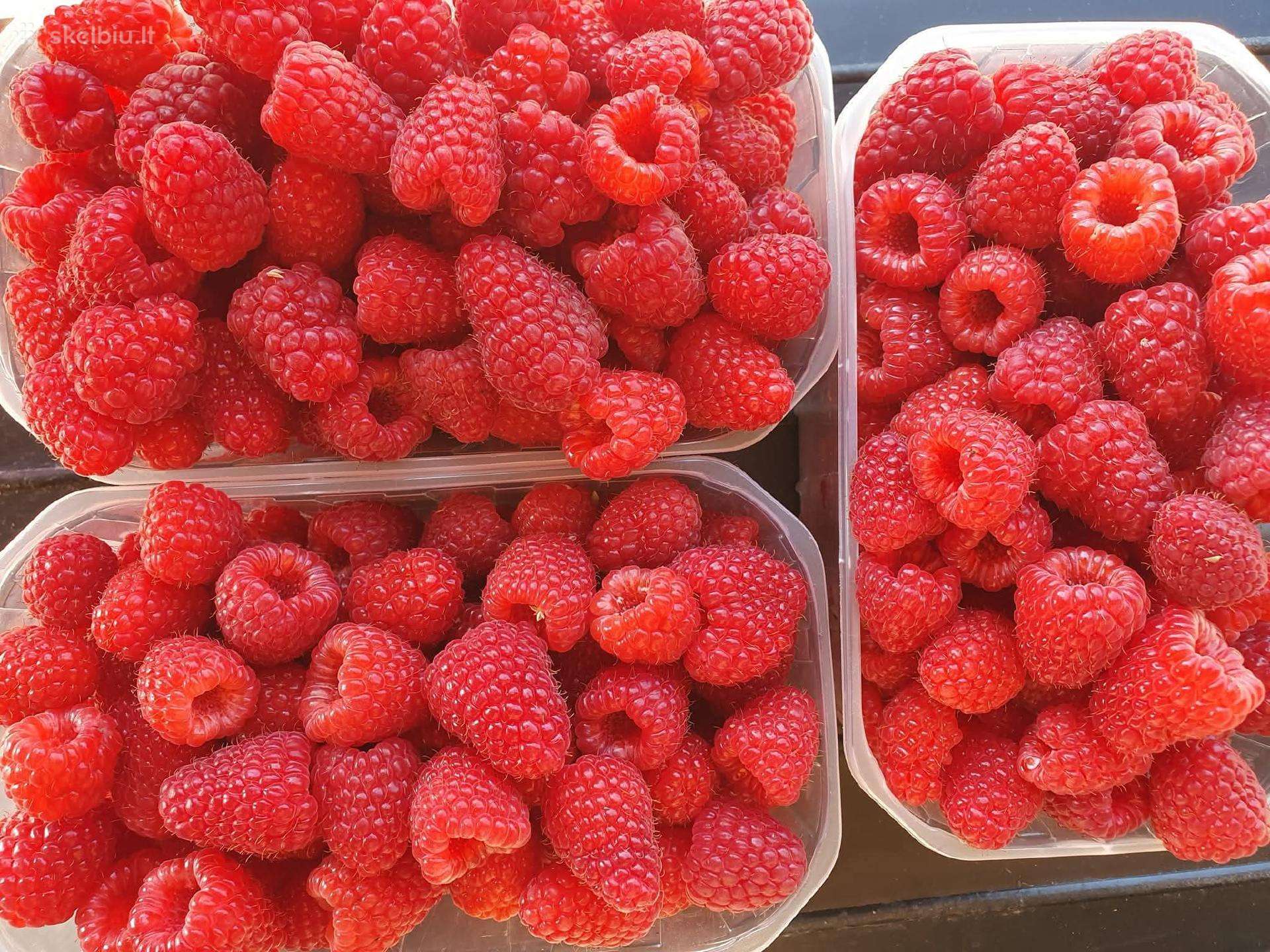 Avietės tiesiai is daržo 1 litras-5€