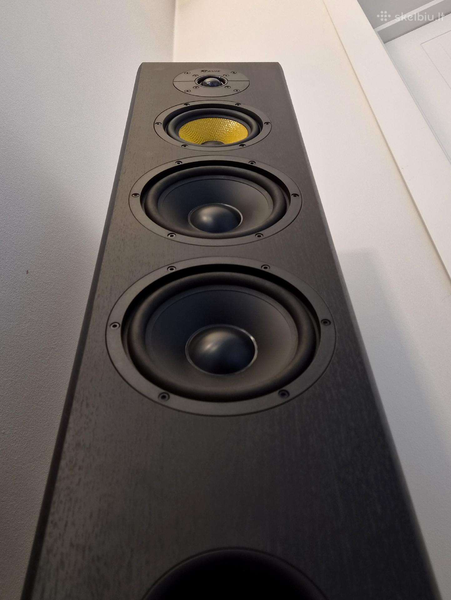 Puikiai skambančios kolonėlės Davis Acustics Vinci