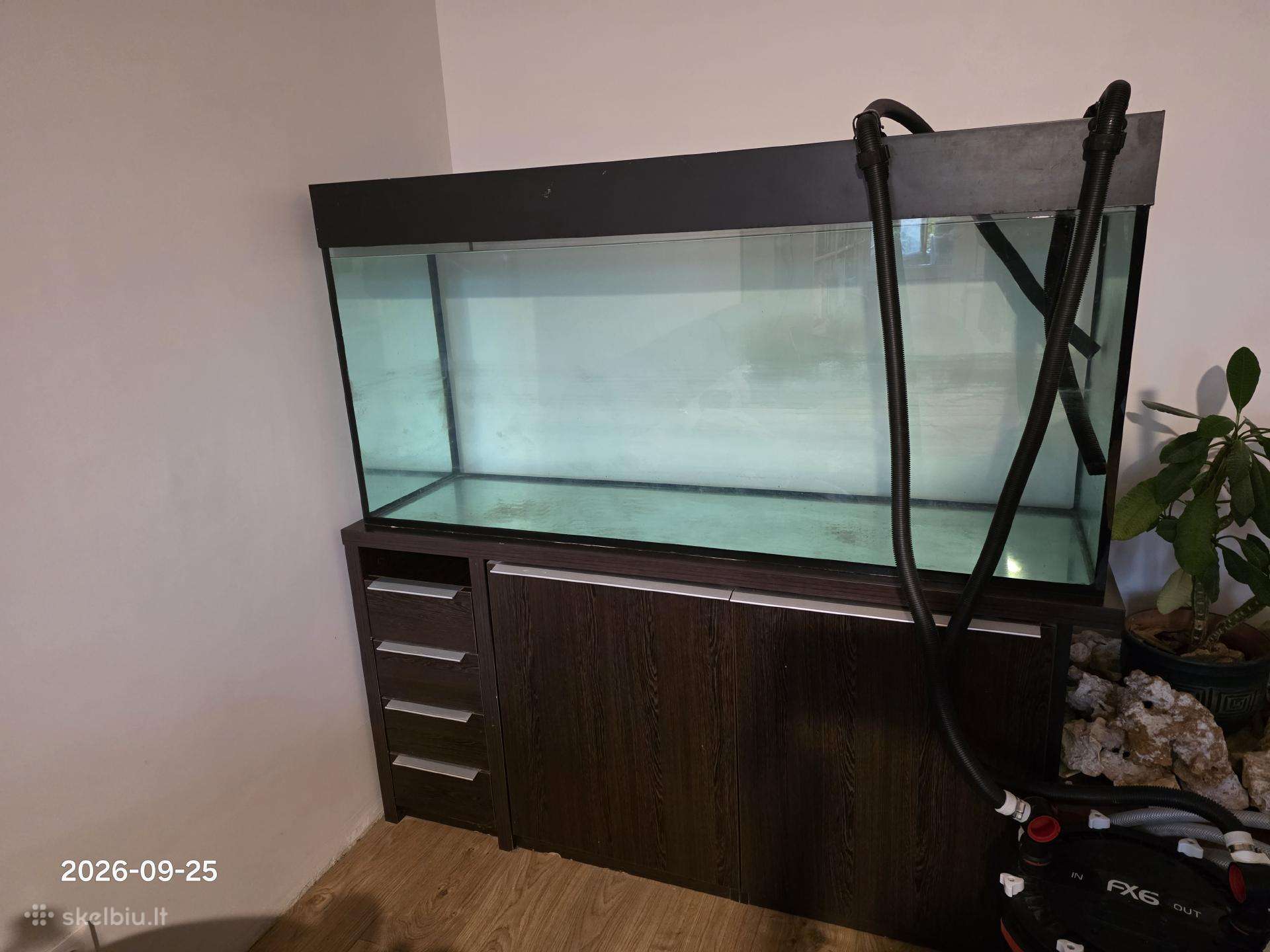 550 l akvariumas + spintelė + filtras + Uv lempa