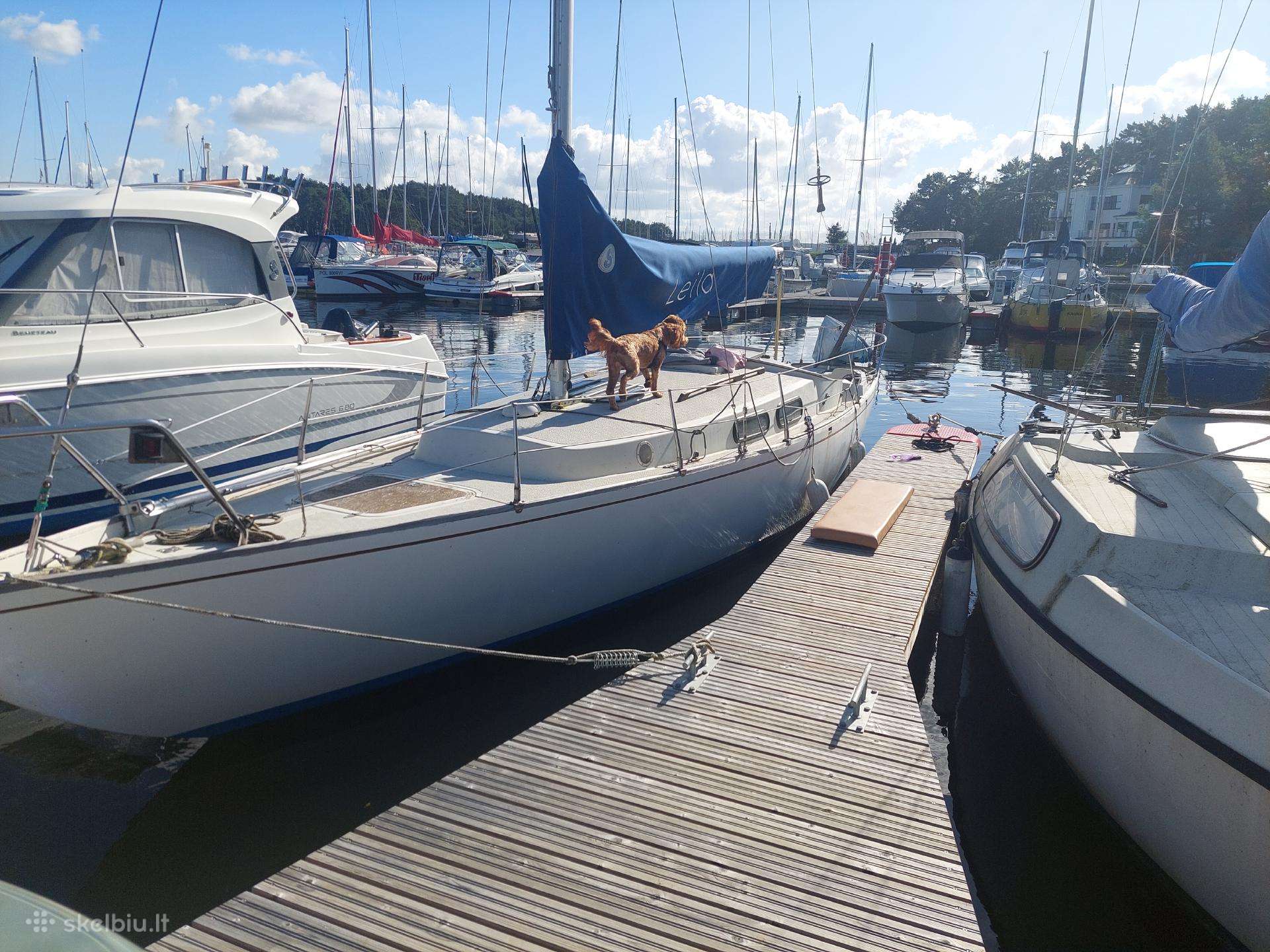 Jachta 8.5m