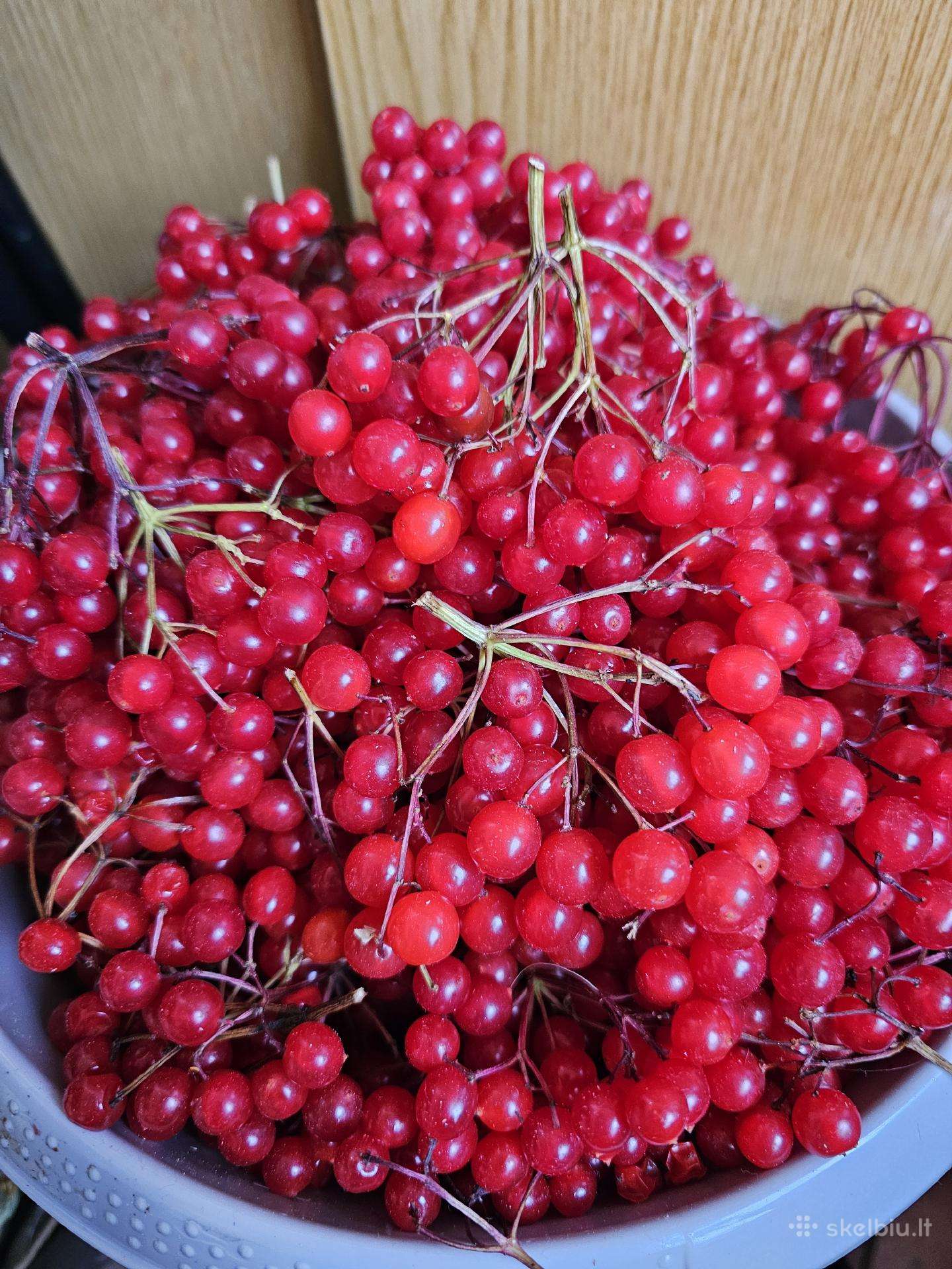 Putino uogos 1 kg Vilnius