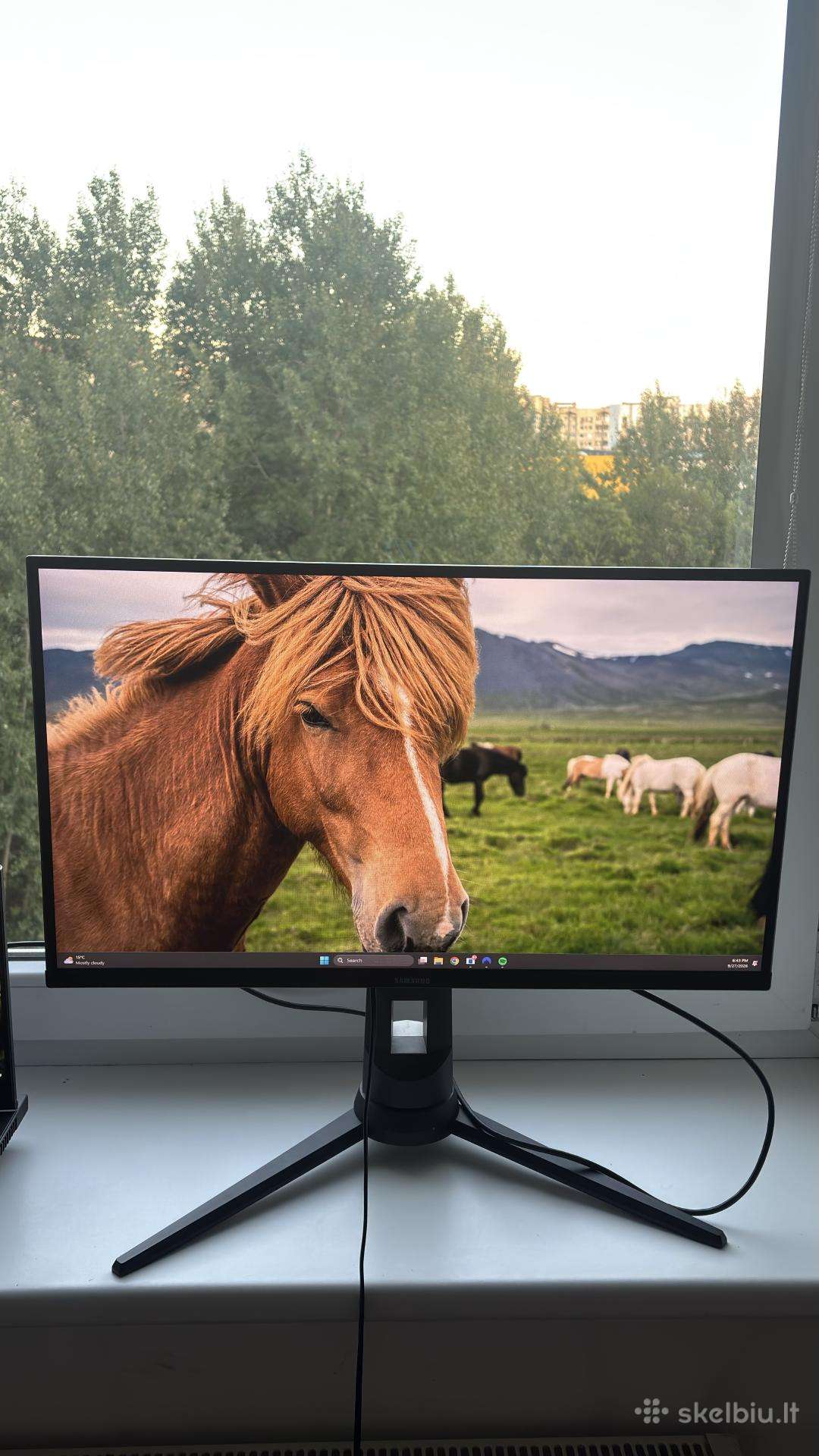 Samsung monitorius
