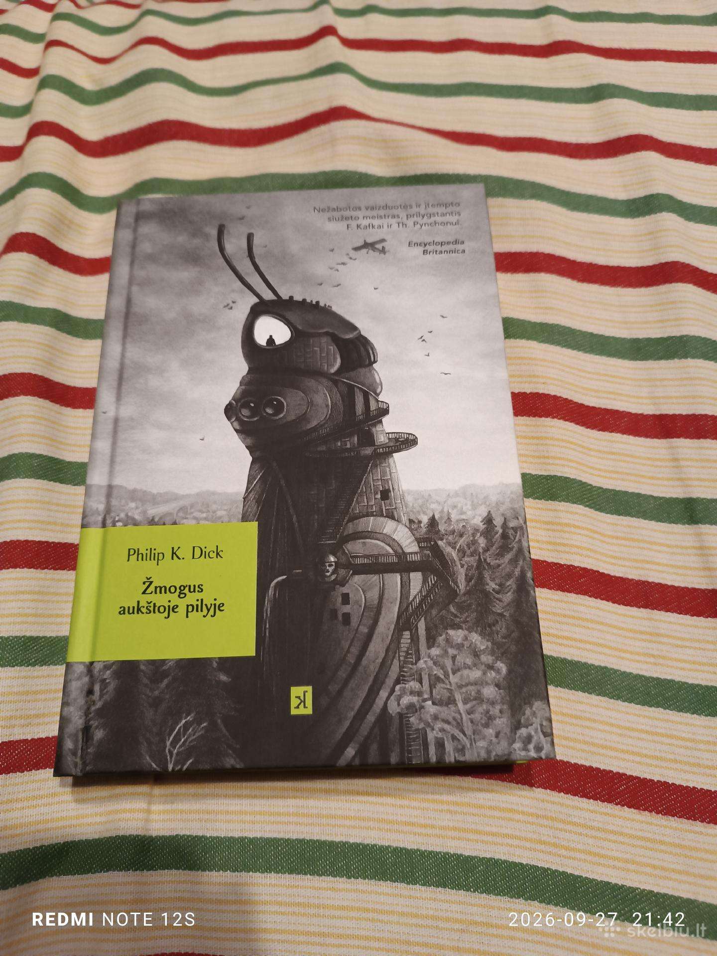 Žmogus aukštojoje pilyje
