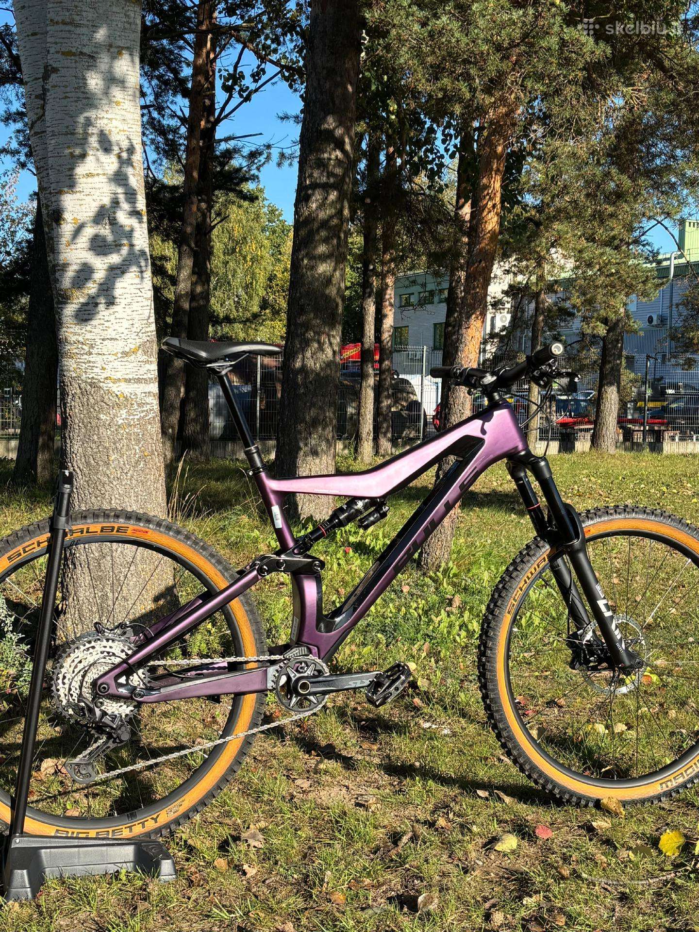 Bulls Wild Creed RS 29