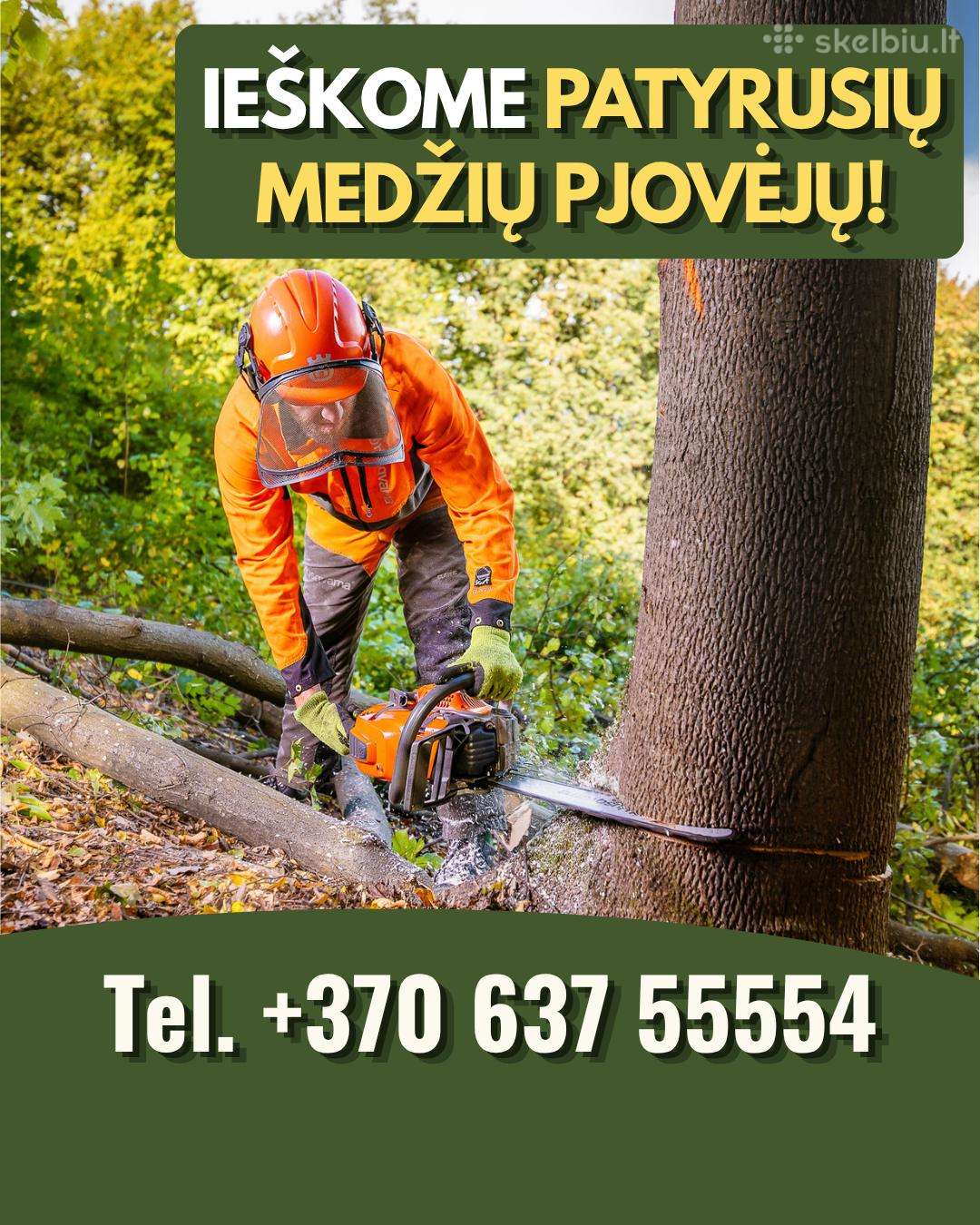 Ieškome patyrusių medžių pjovėjų / genėtojų