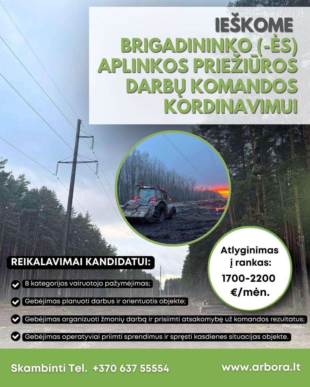 Brigadininkas (-ė) medžių pjovimo darbams