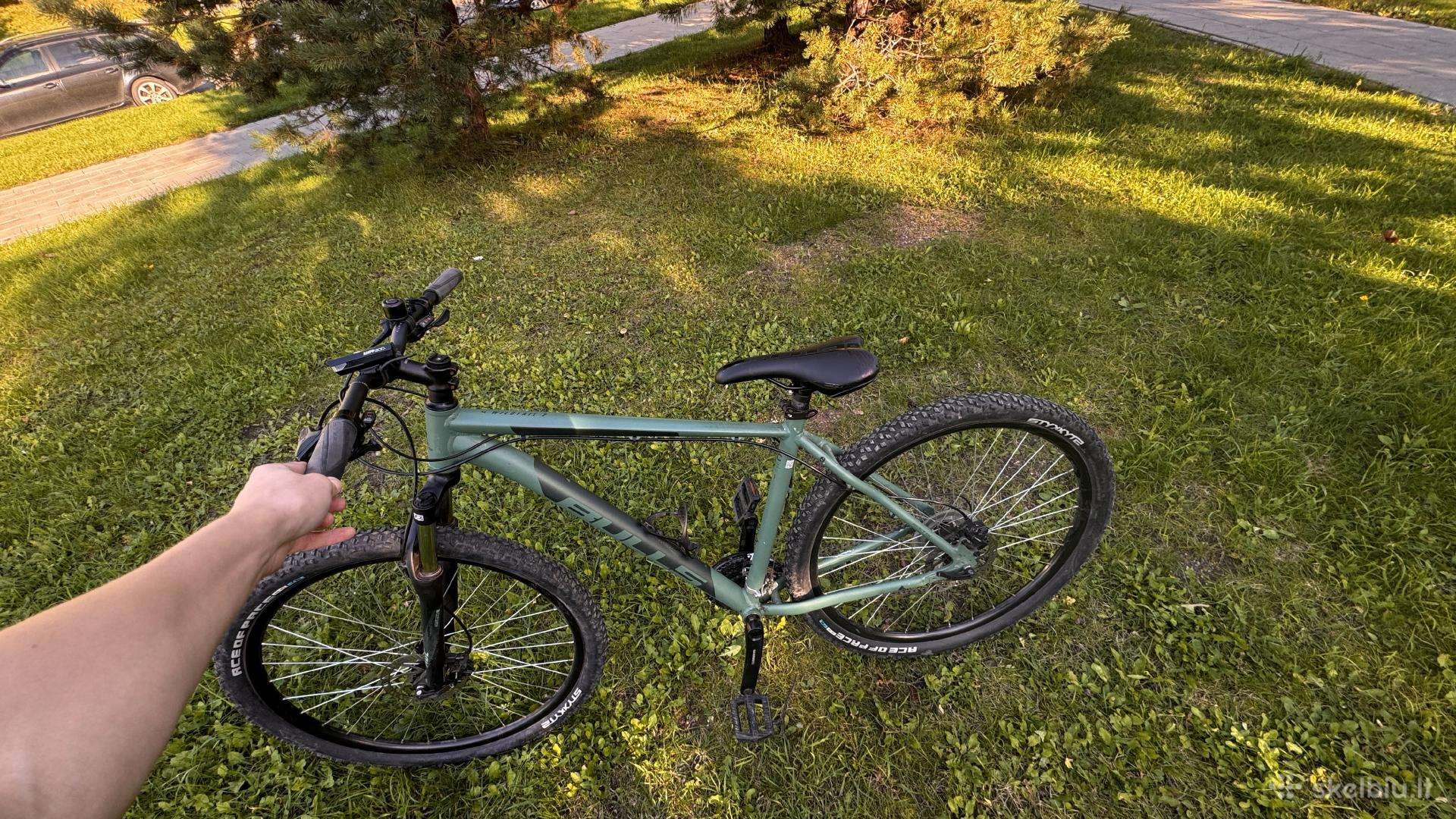 Bulls Wildtail 2 MTB dviratis, 51 cm rėmas