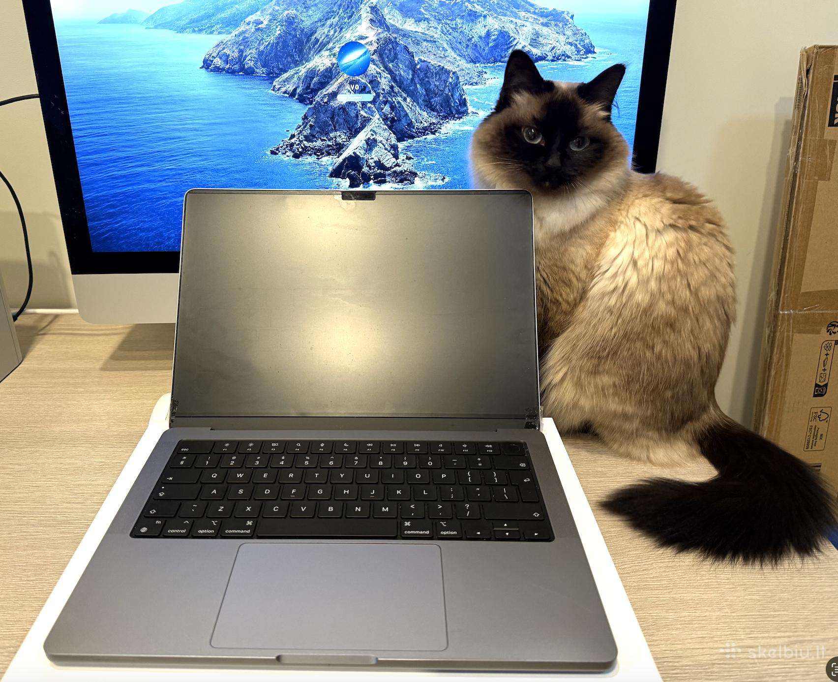 Apple MacBook Pro 15 M4 / 16 GB / 512 GB