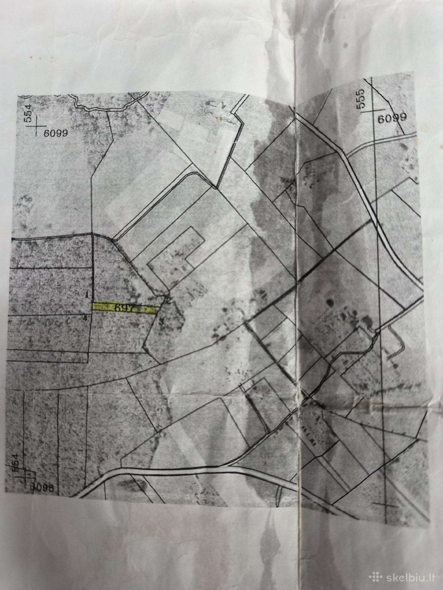 Parduodamas miškas