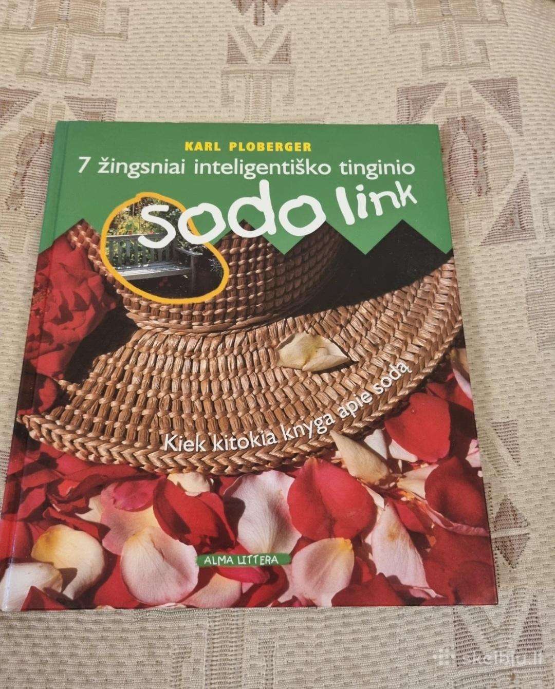 7 žingsniai inteligentiško tinginio sodo link