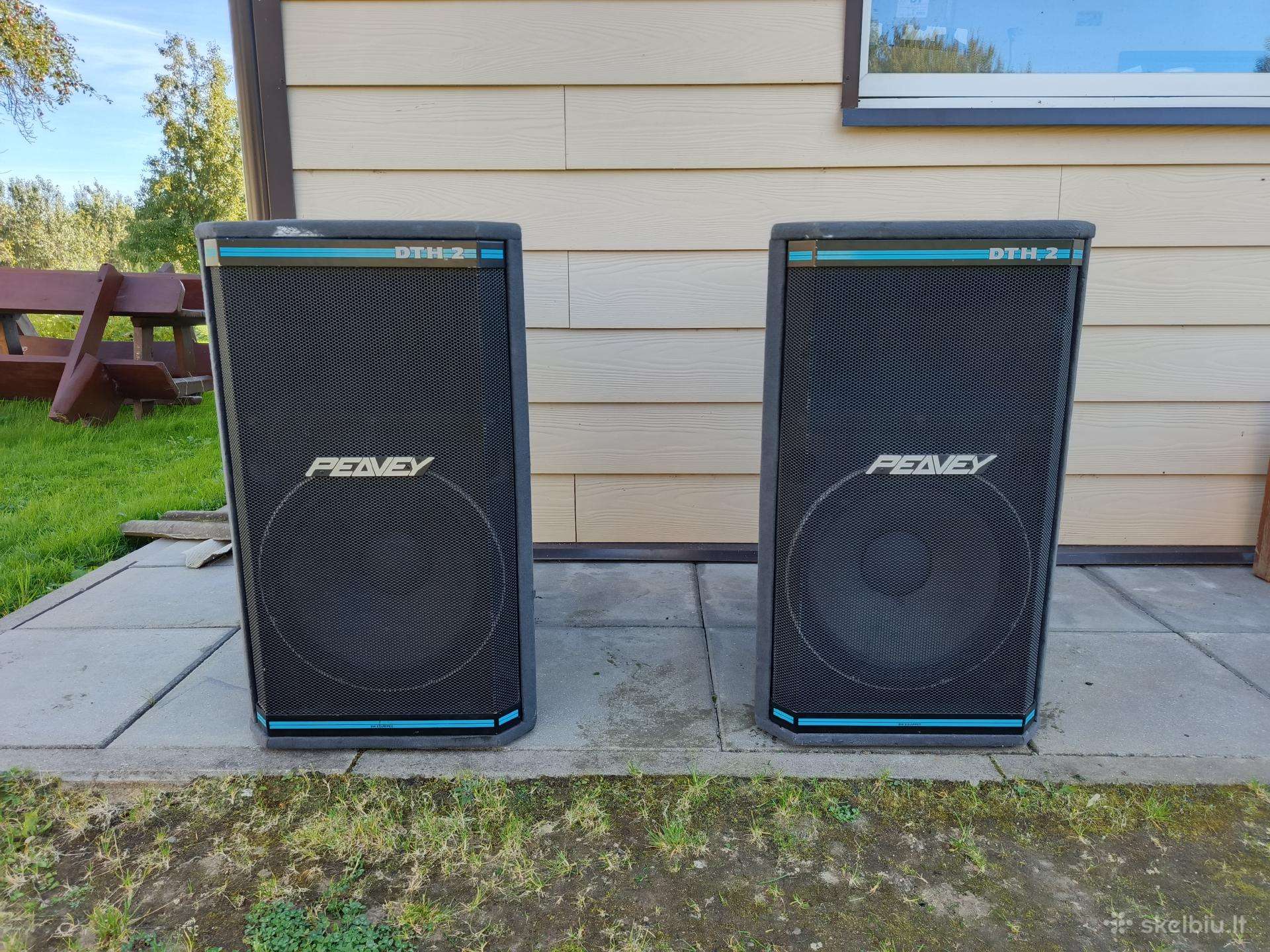 Vintazines, retos garso kolonėlės Peavey dth 2