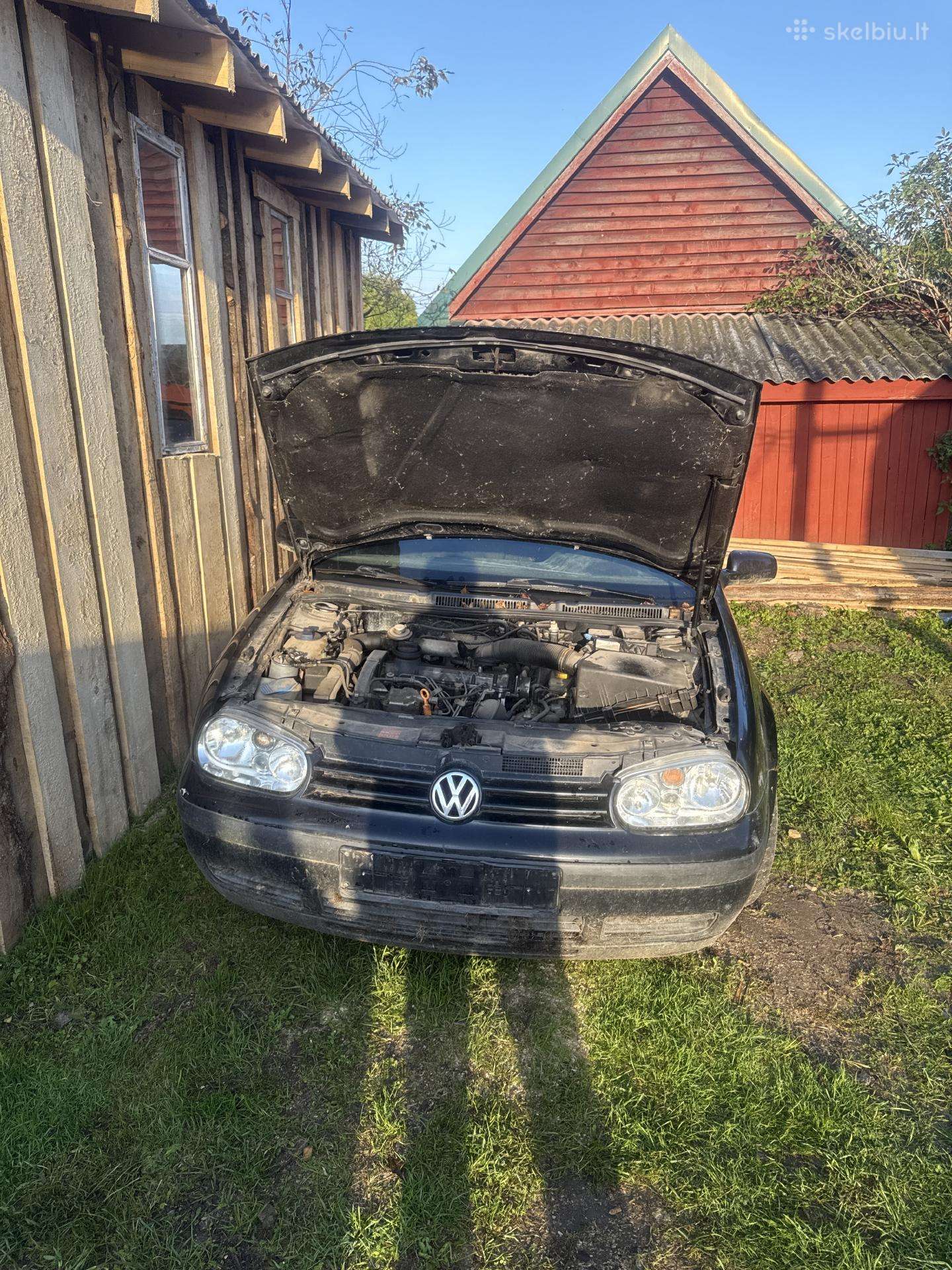 Auto dalimis