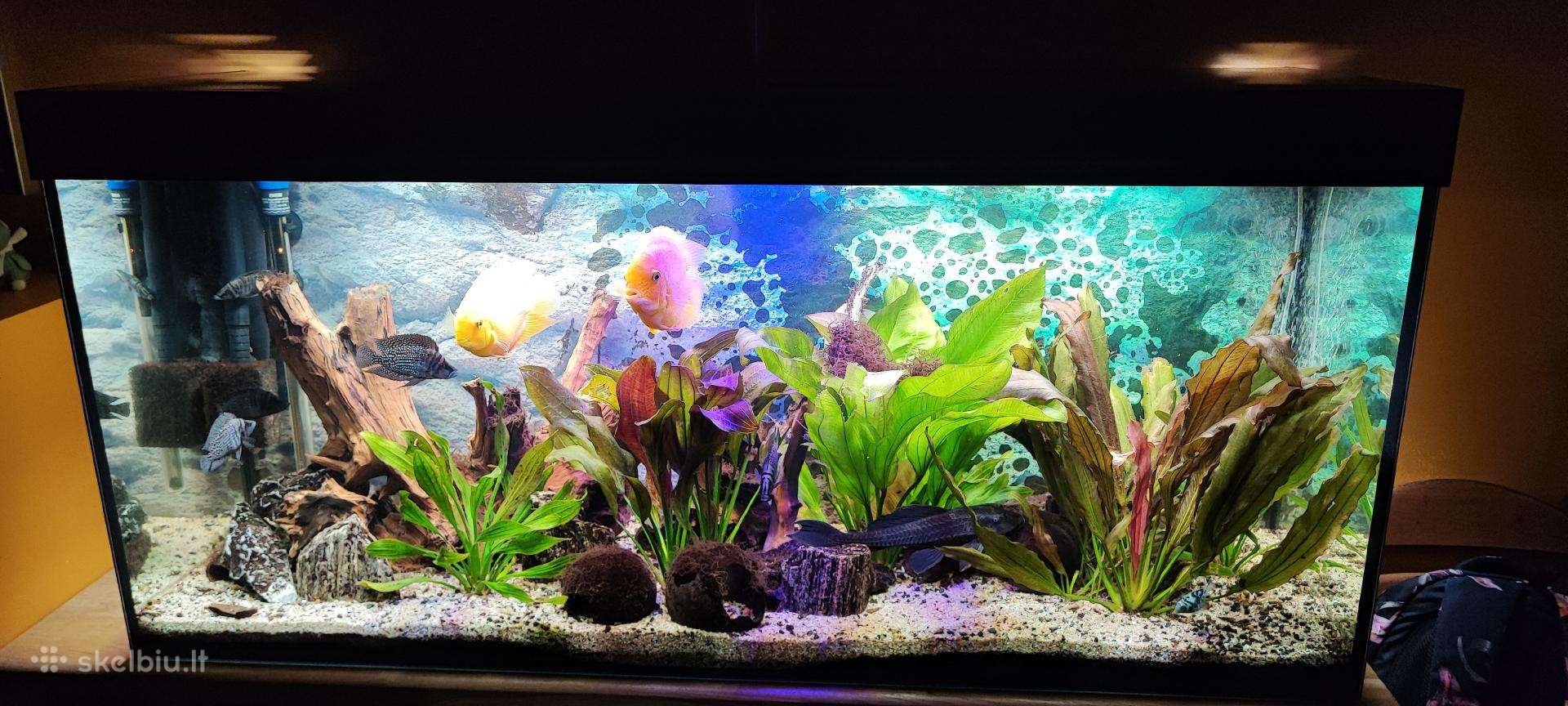 Parduodu akvariumą