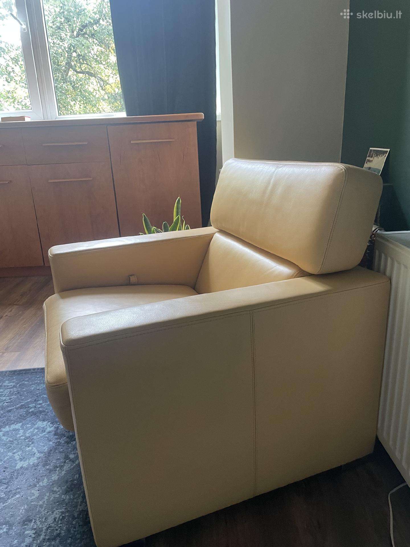 Parduodu kokybišką odinę sofą ir fotelį (Bruhl)