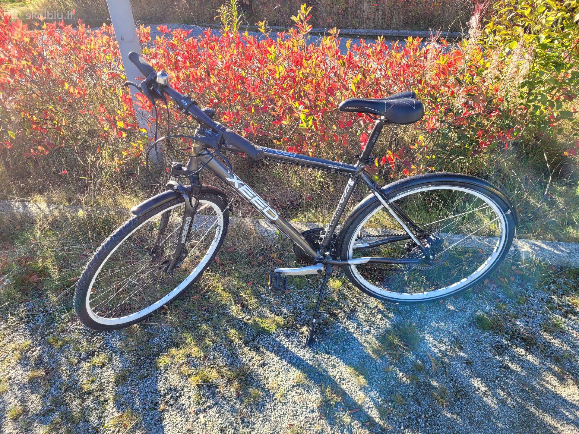 Dviratis Xeed Eco 3 Sport