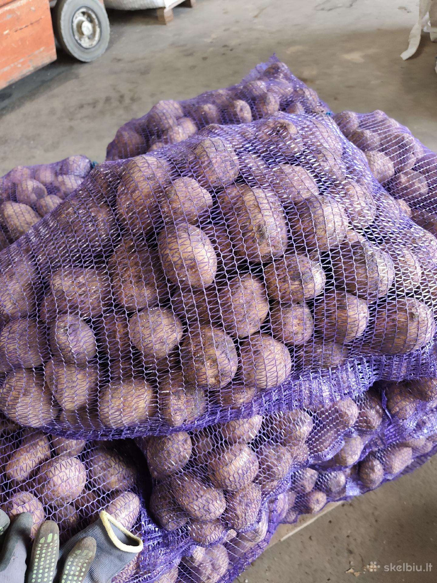 Vineta valgomos bulves