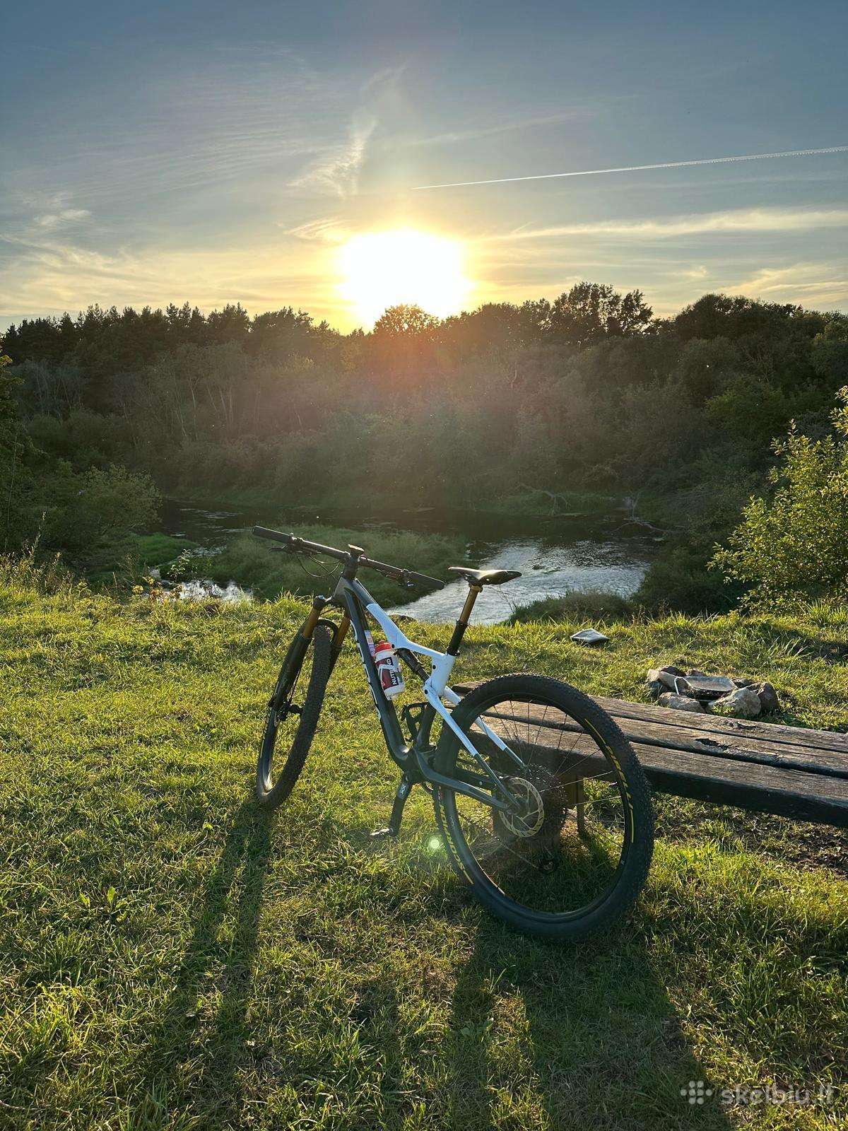 Orbea Oiz M Ltd