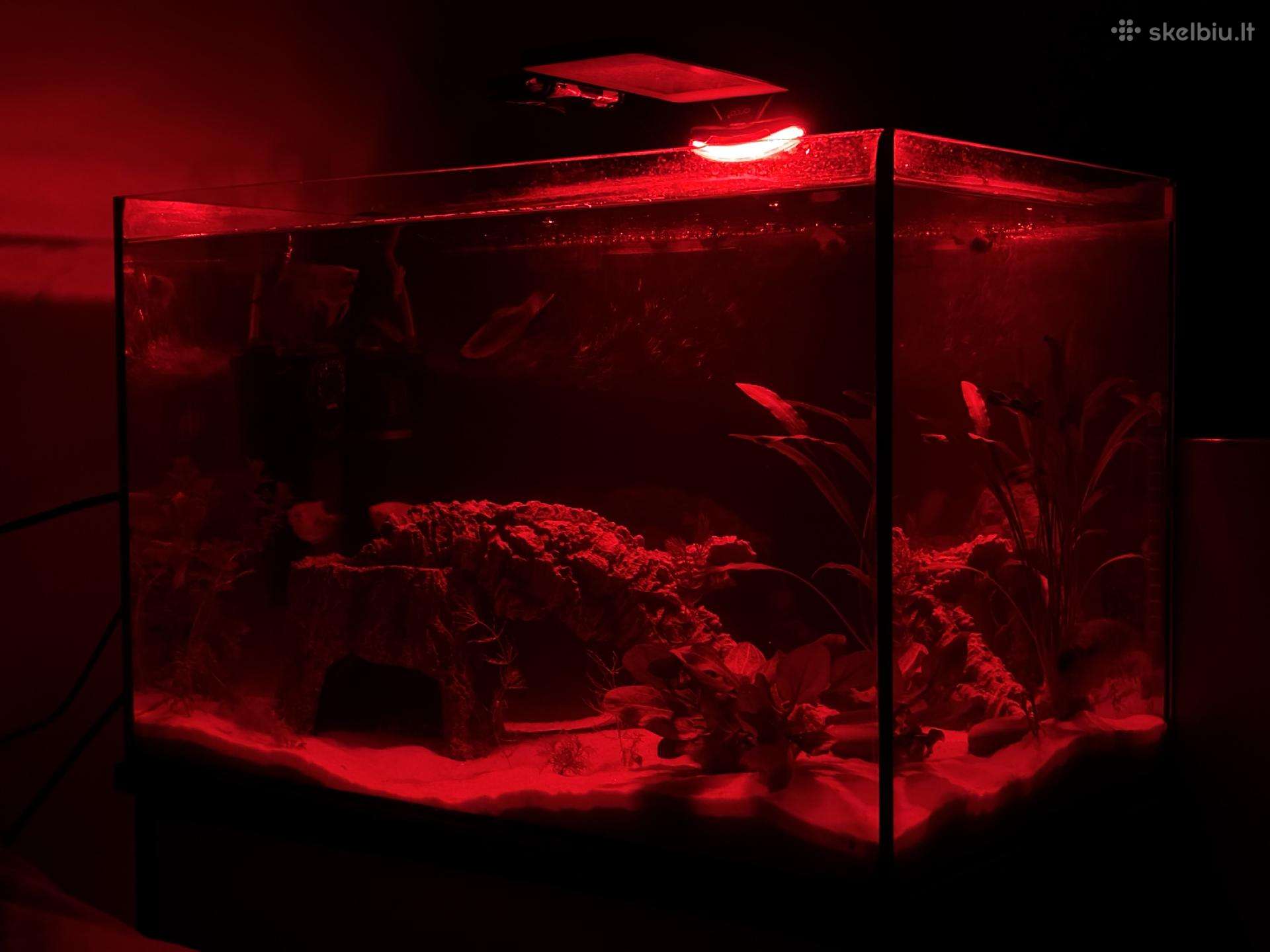 45 litru akvariumas