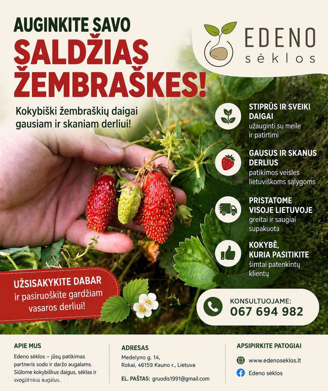 Žembraškės Kupčicha ir Penelope,žemuogės, avietės