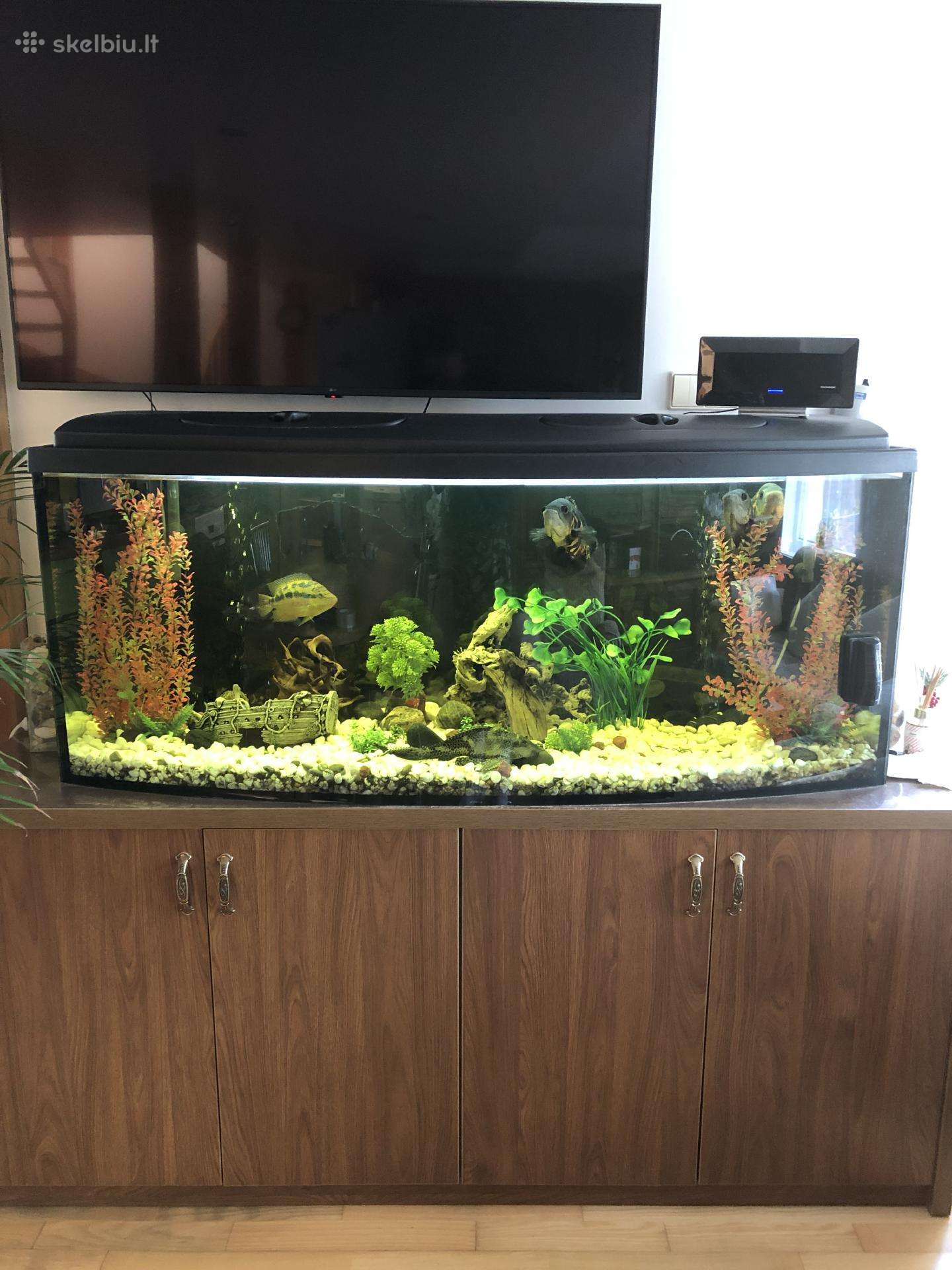 Akvariumas