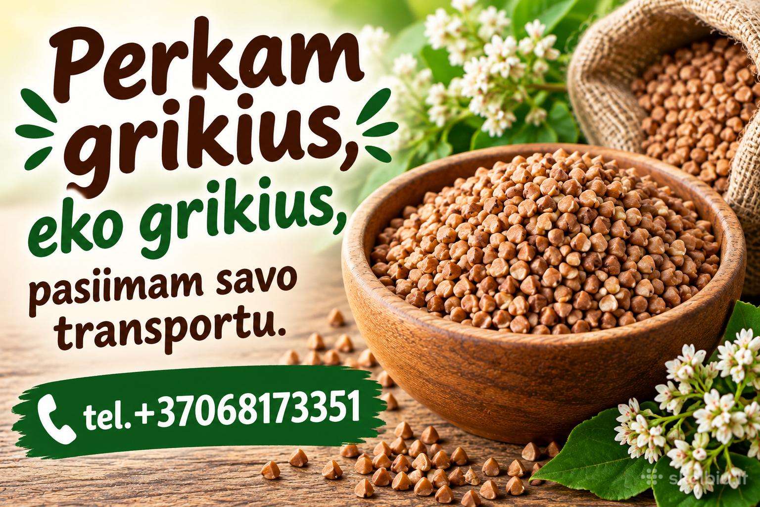 Superkam grikius,eko grikius