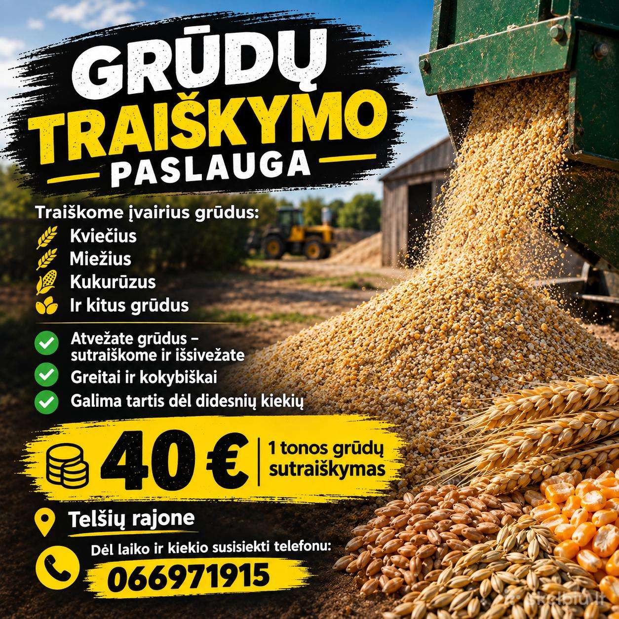 Grūdų Traiškymas