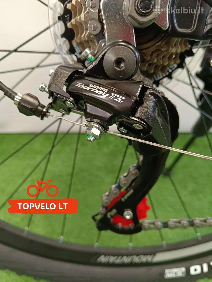 Mountain bike FORMULA 29″