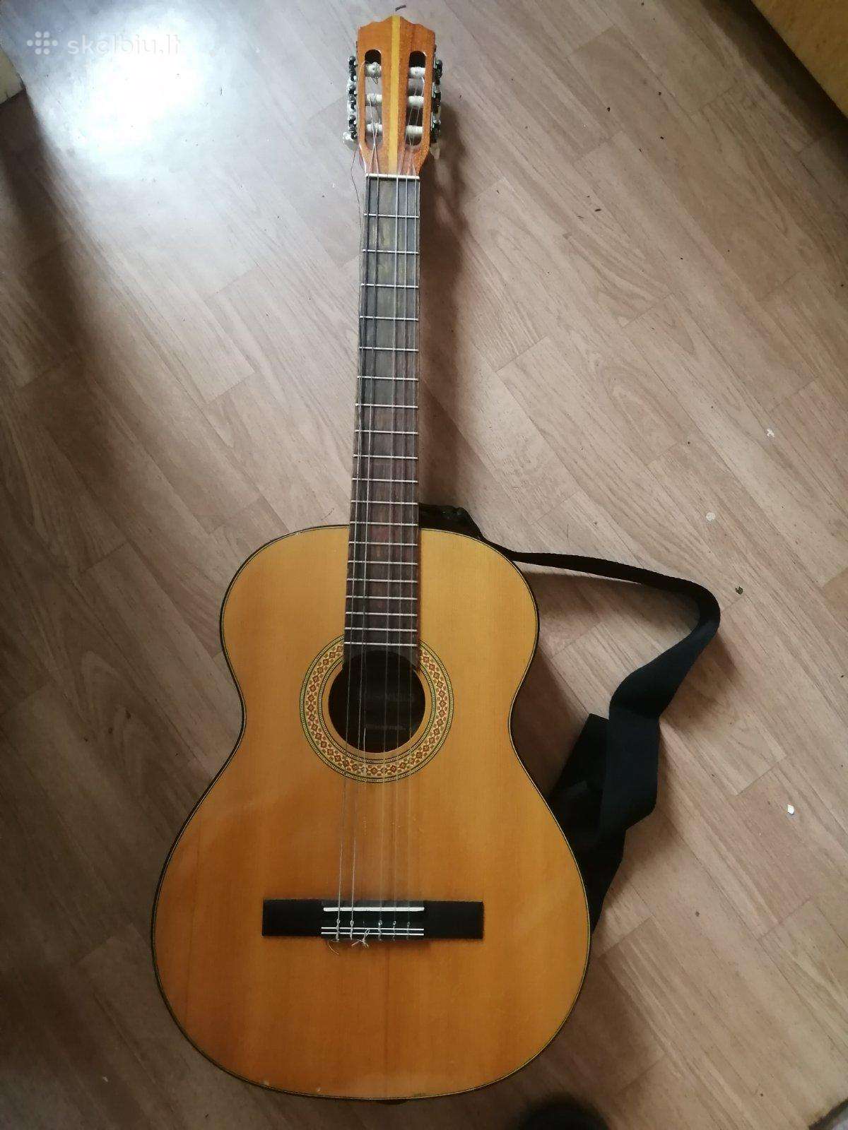 Gitara su dėklu