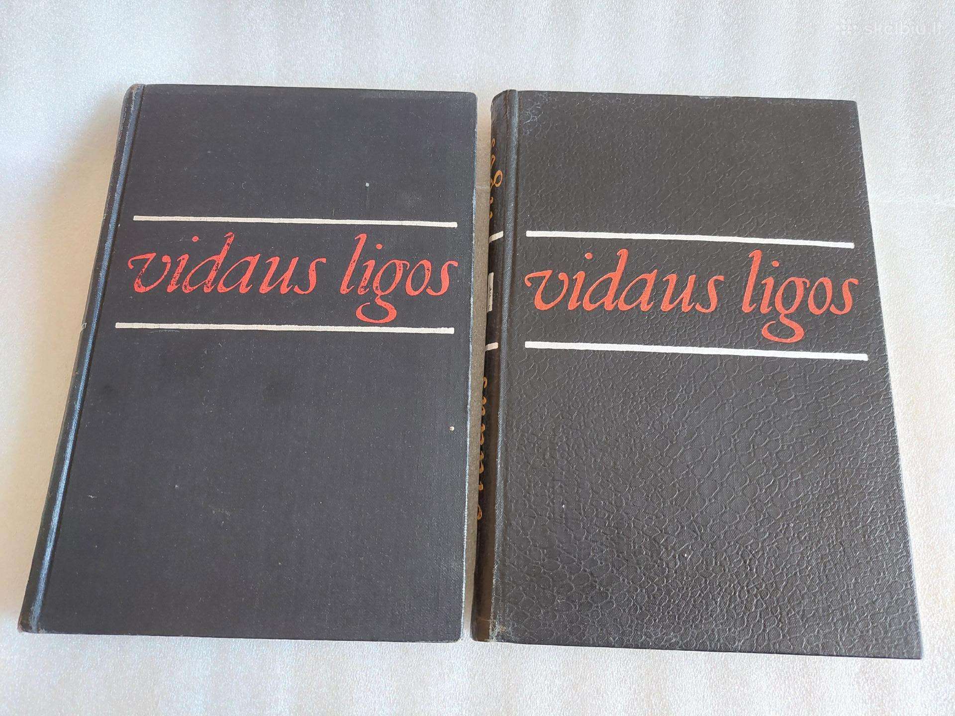 Vidaus ligos