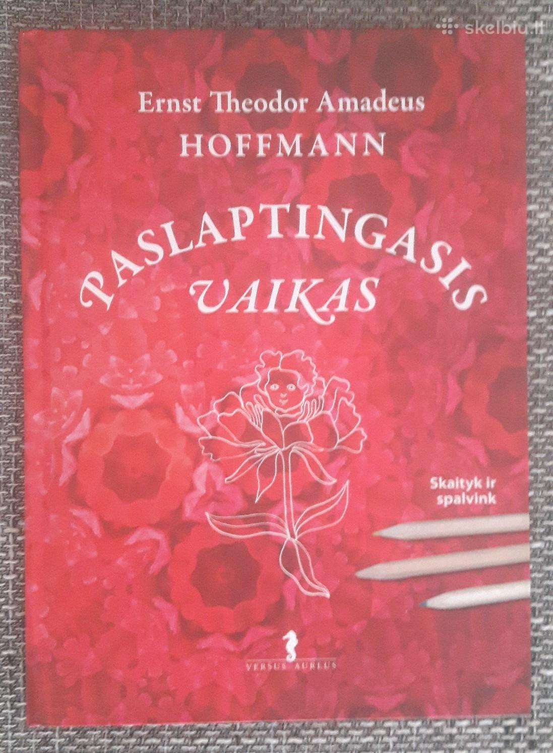 Knyga vaikams ''Paslaptingas vaikas''