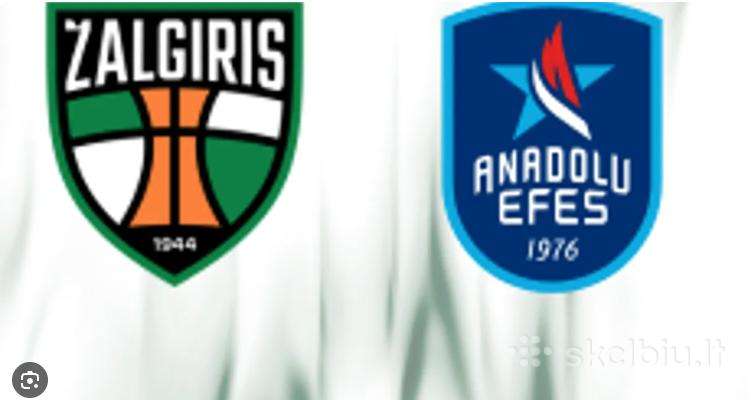 Zalgiris - Anadolu Efes