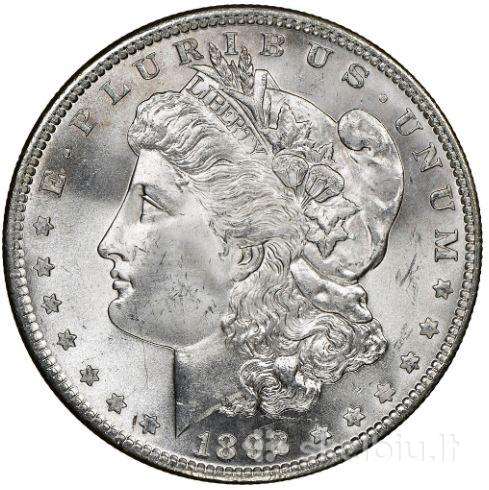 1 doleris (Morgan) 1892 metų