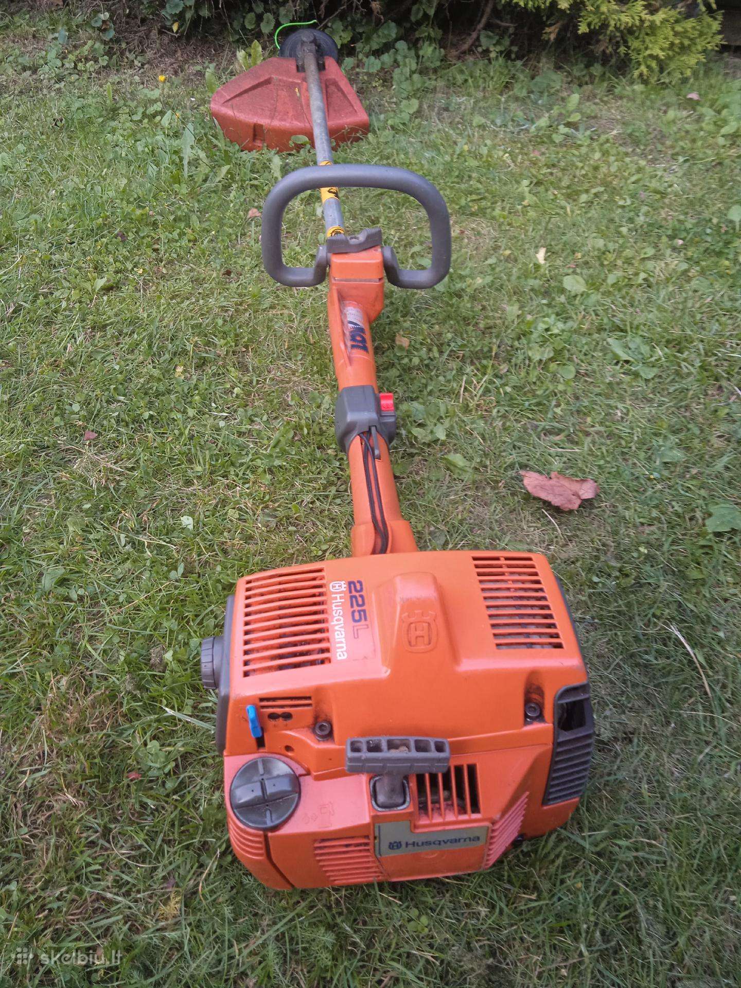 Trimeris husvarna