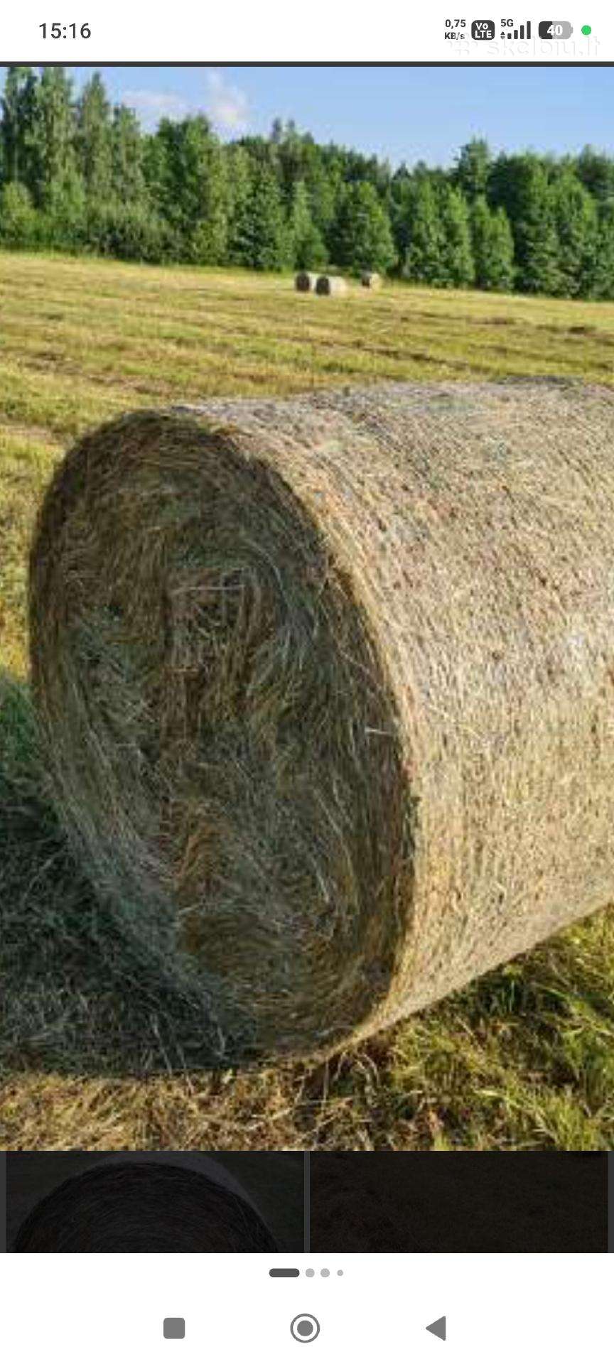 Šienas rulonais