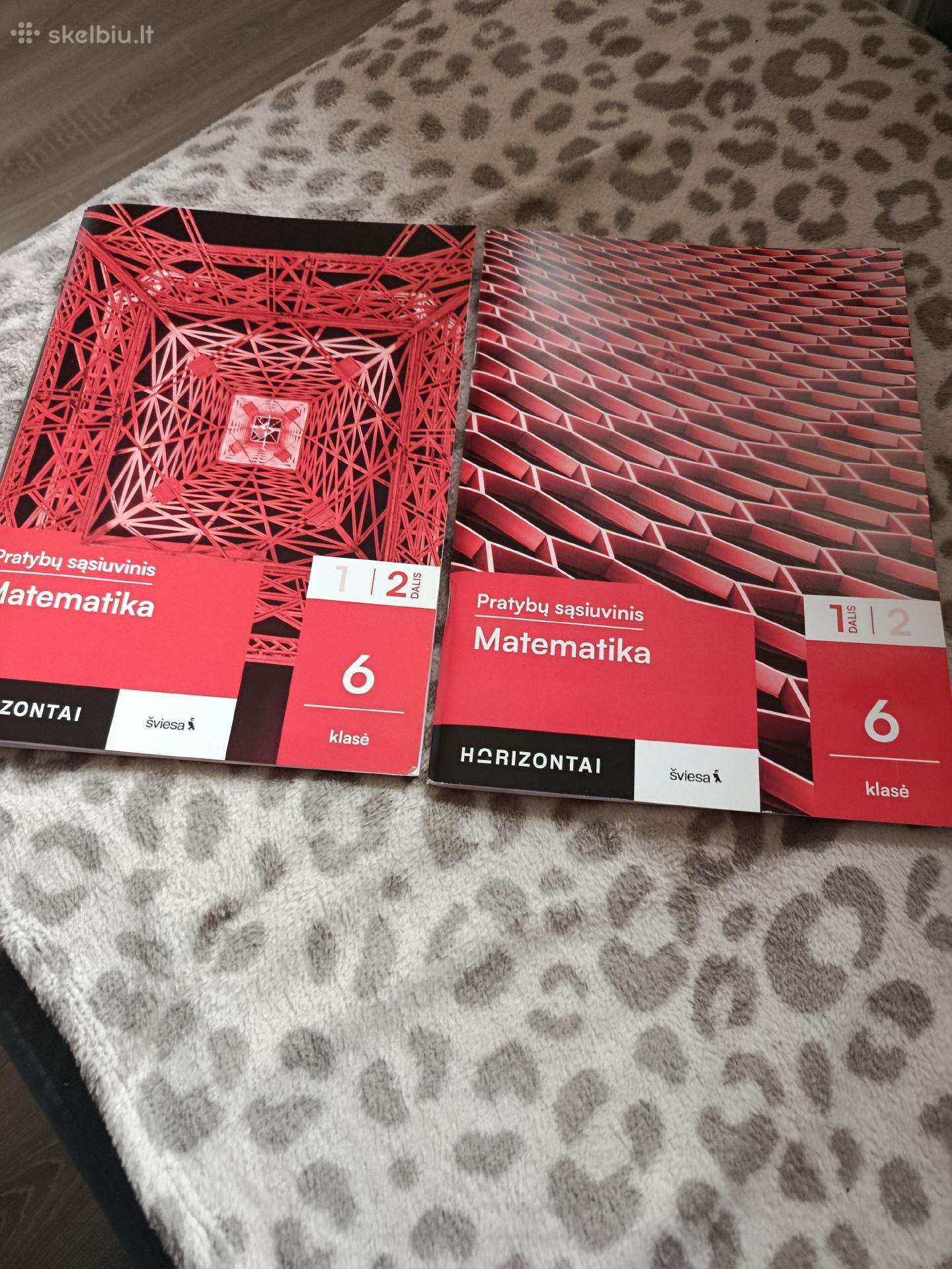 Matematikos pratibos 2 dalis