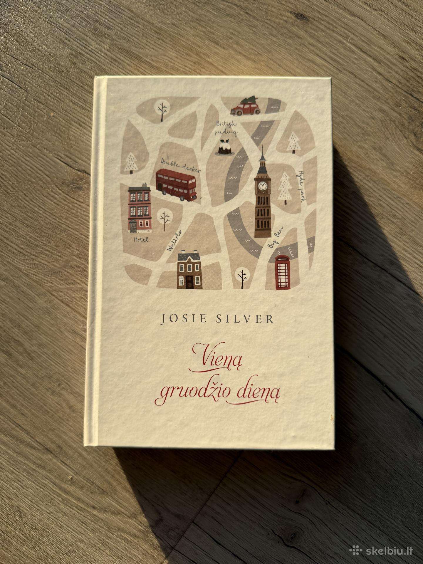 Knyga J. Silver Vieną gruodžio dieną