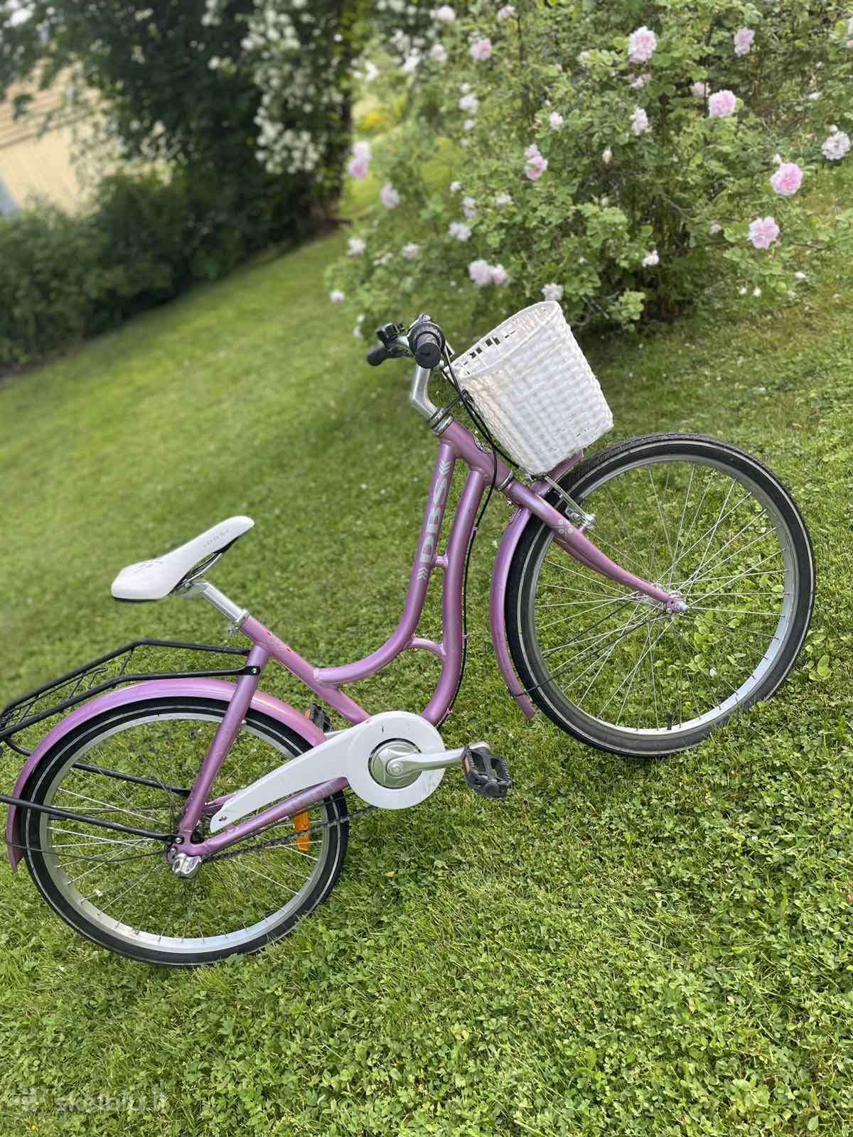 Dbs vaikiškas dviratis 24"