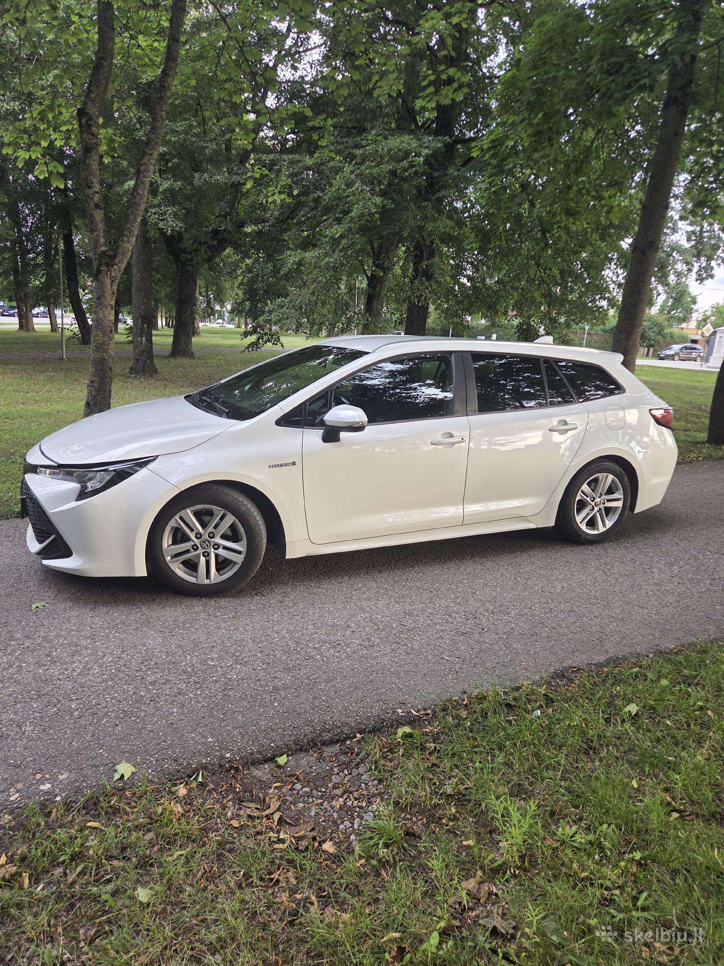 Toyota Corolla ir Prius nuoma