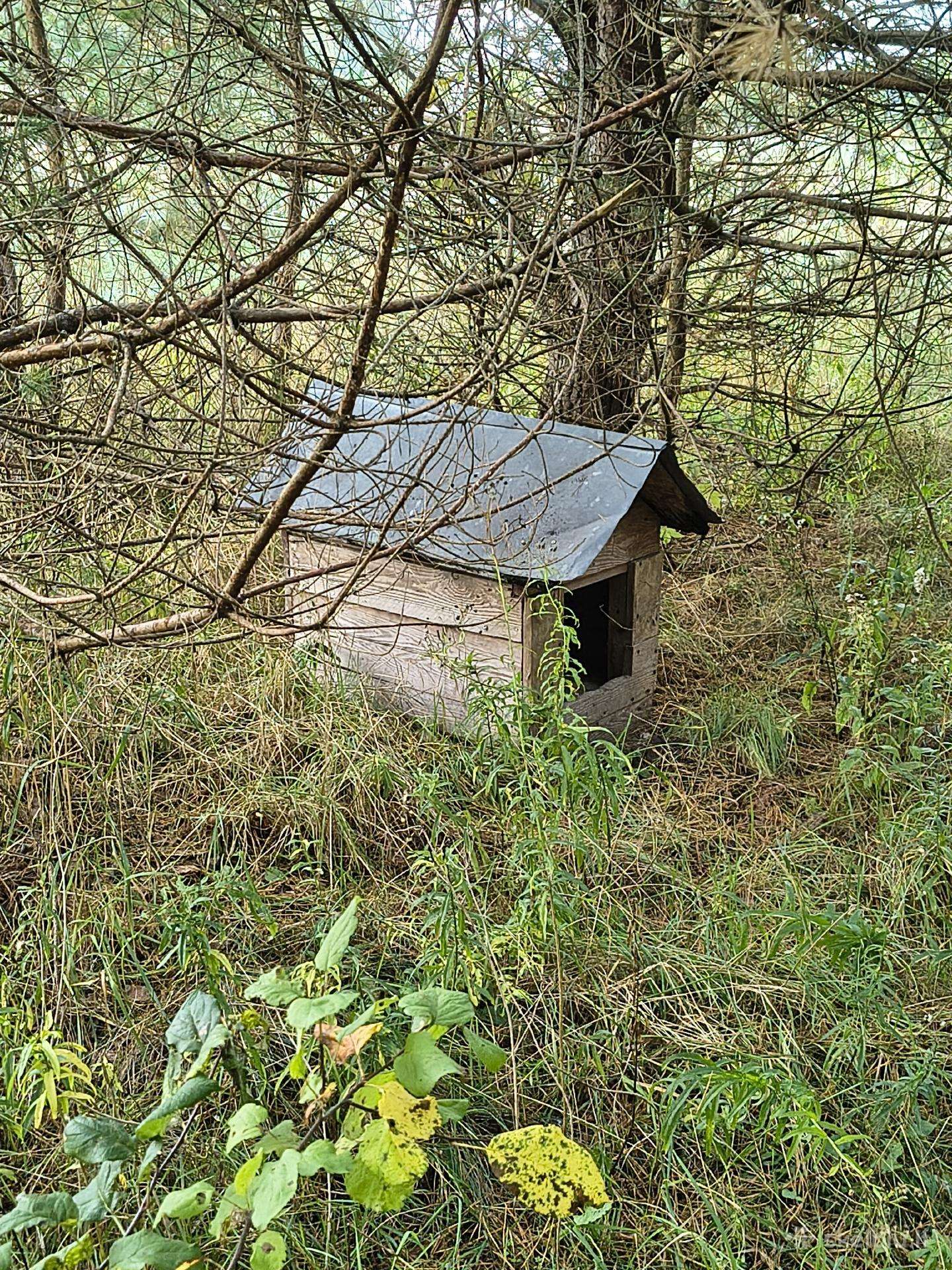 Būda