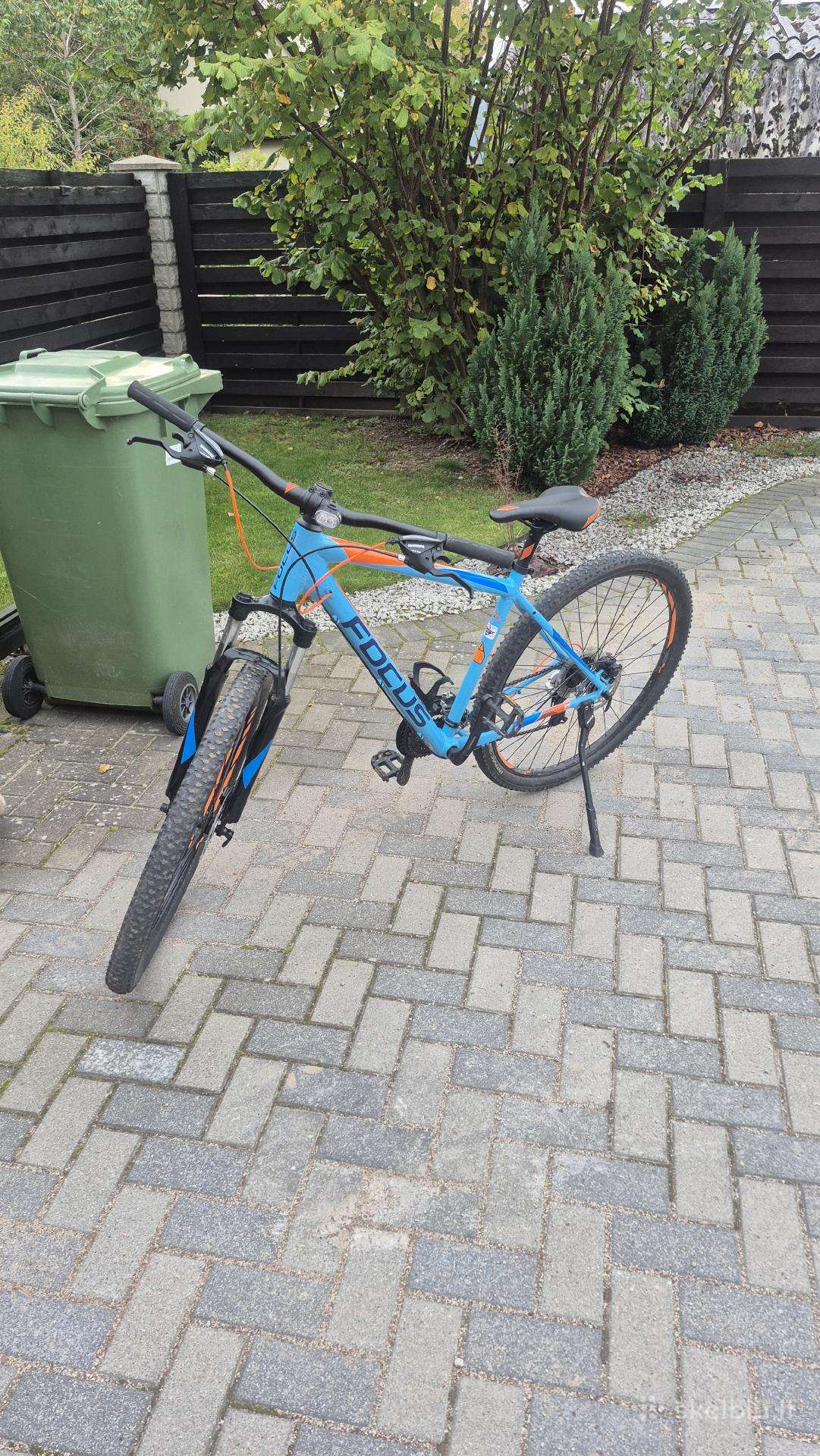 Focus Whistler Core Hardtail MTB Dviratis