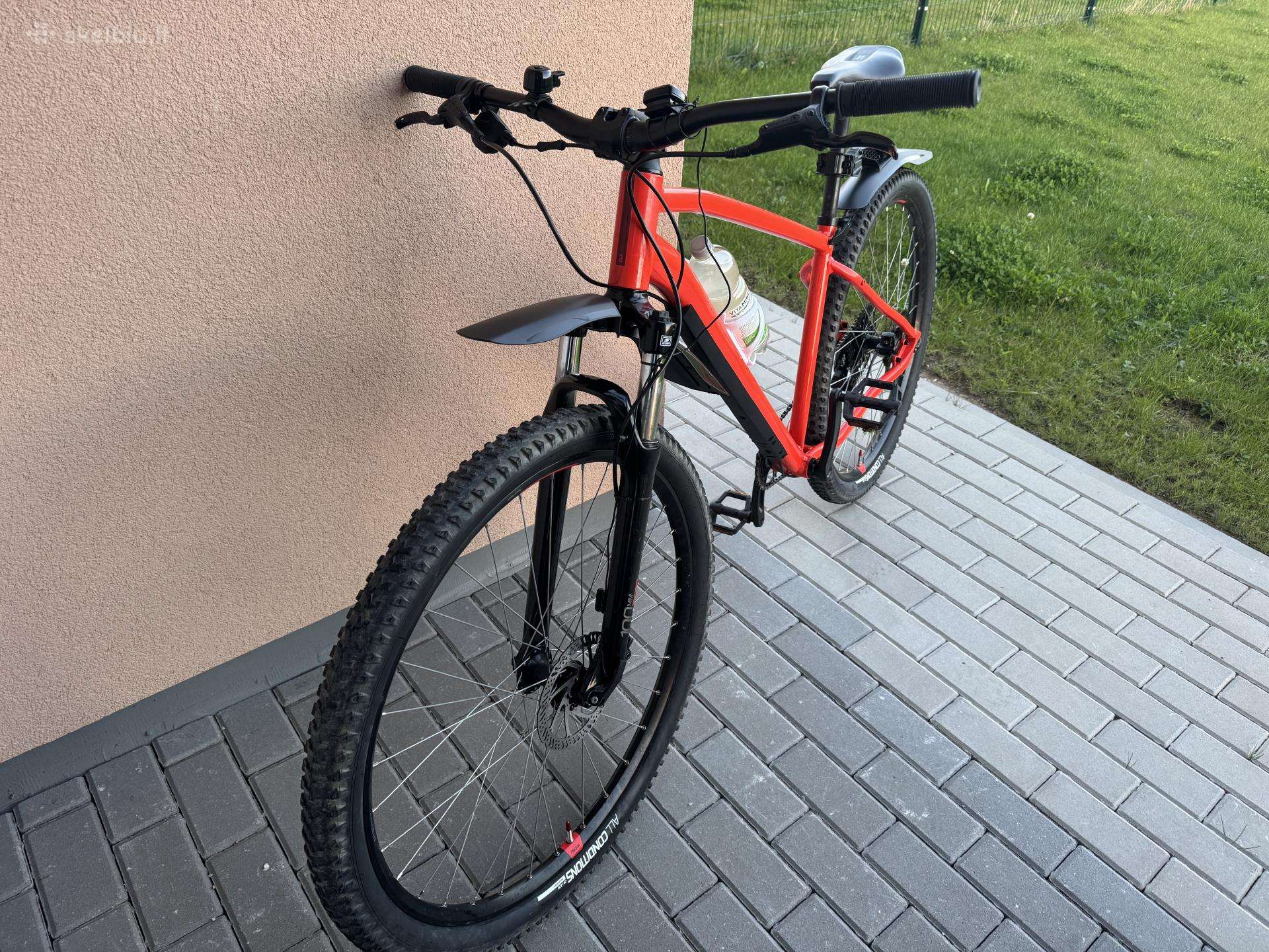 MTB dviratis L/XL 29