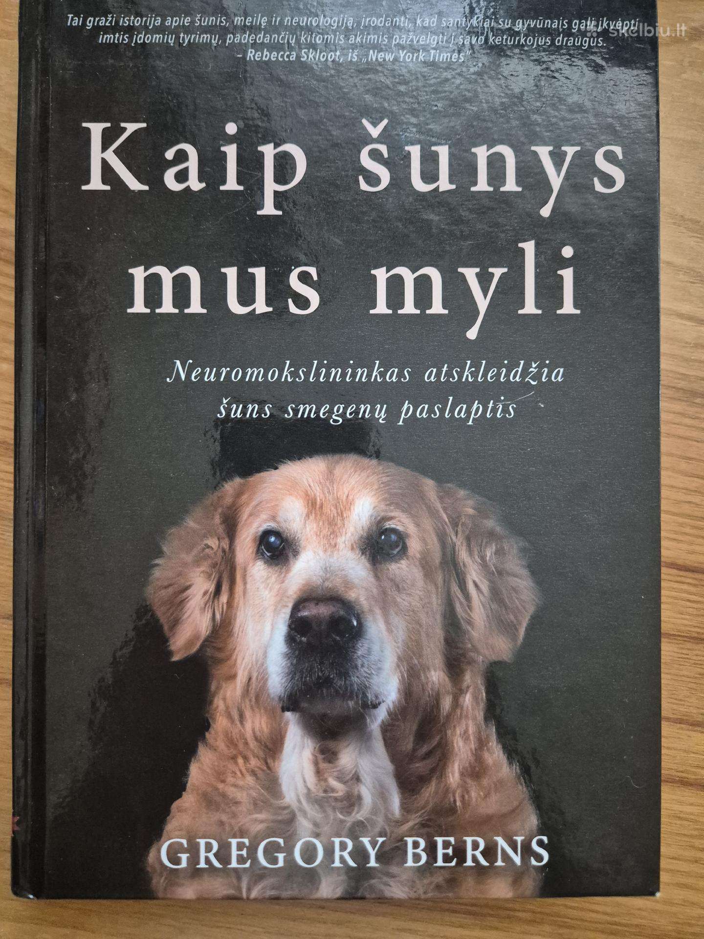 Gregory Berns, Kaip šunys mus myli